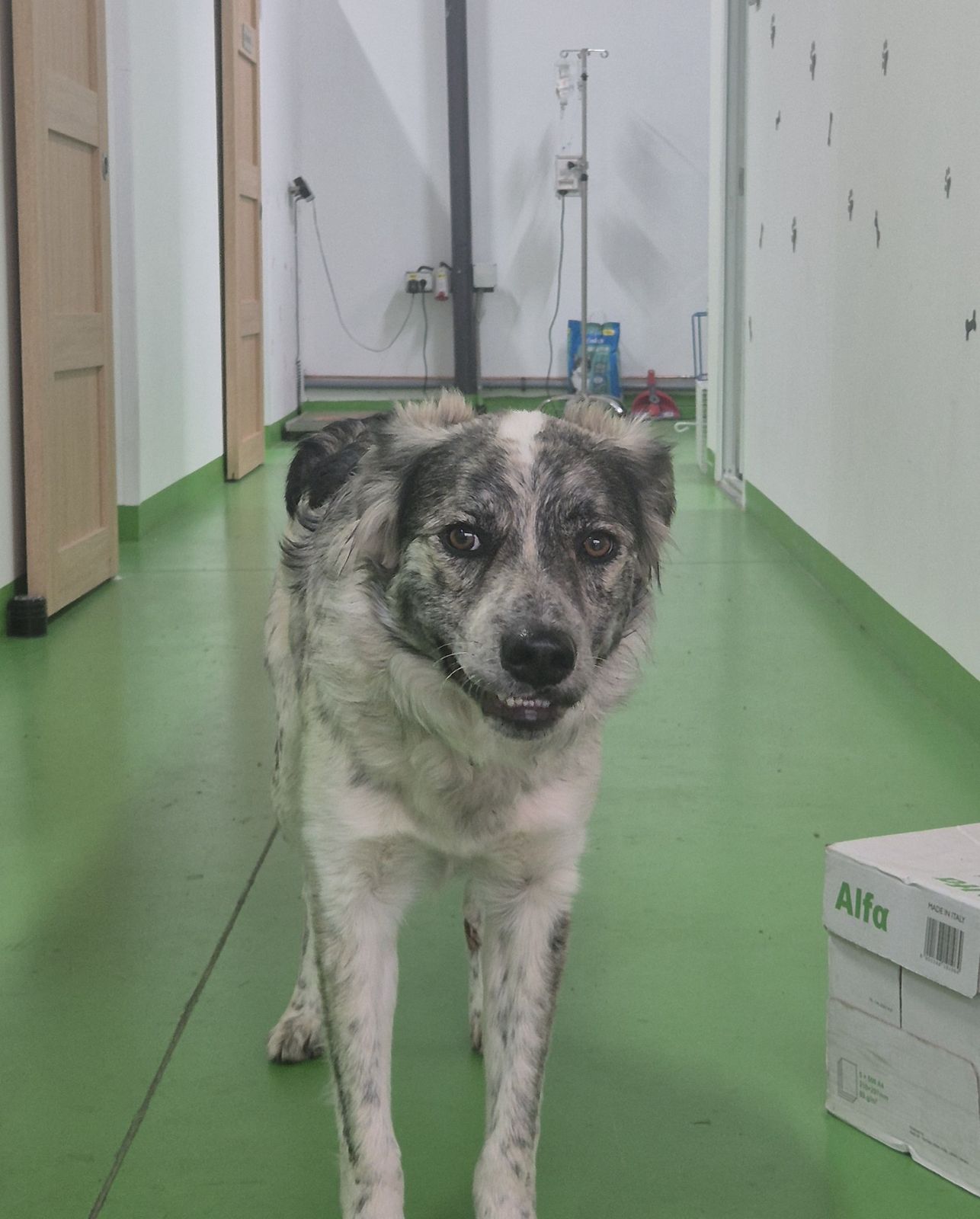 WhatsApp Image 2025-11-23 at 13.59.33