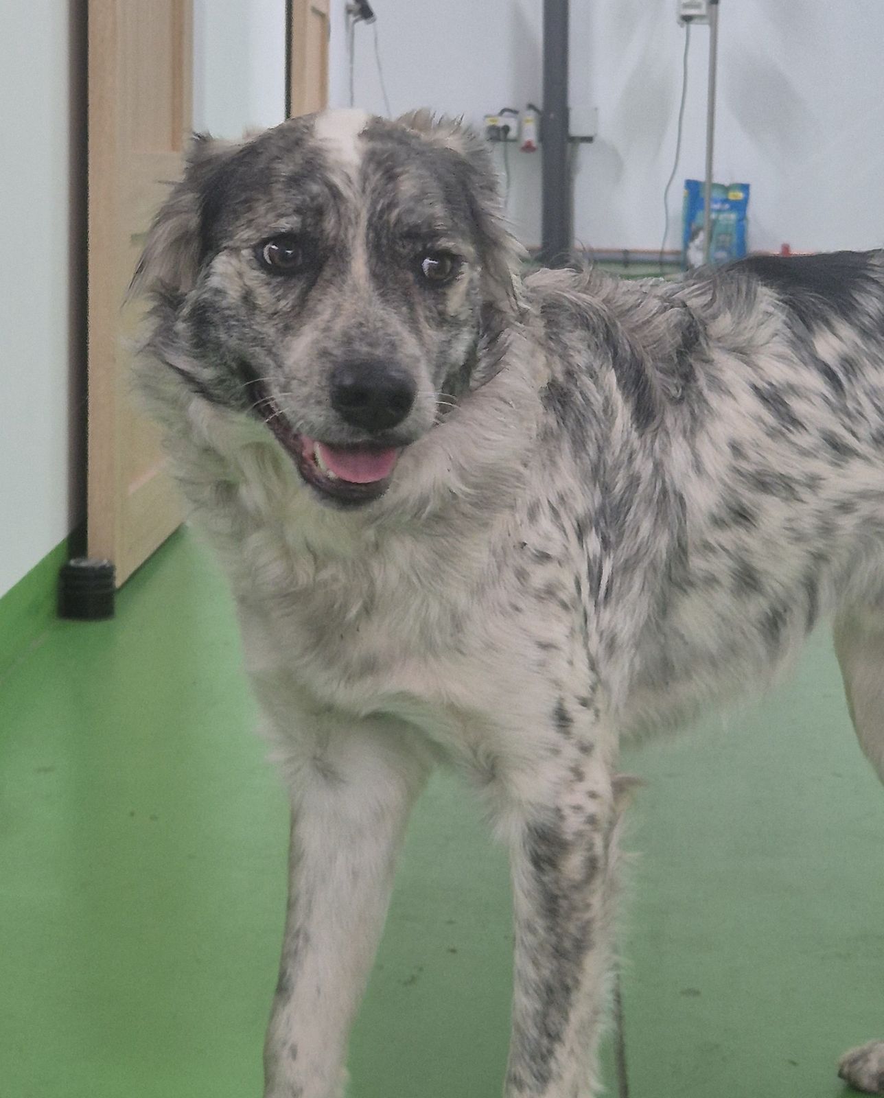 WhatsApp Image 2025-11-23 at 13.59.41