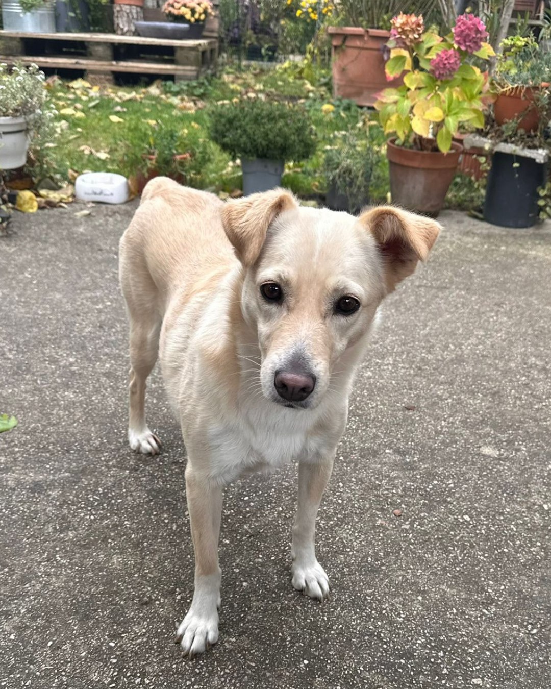 586023631_1156199466630236_2620674667752002974_n