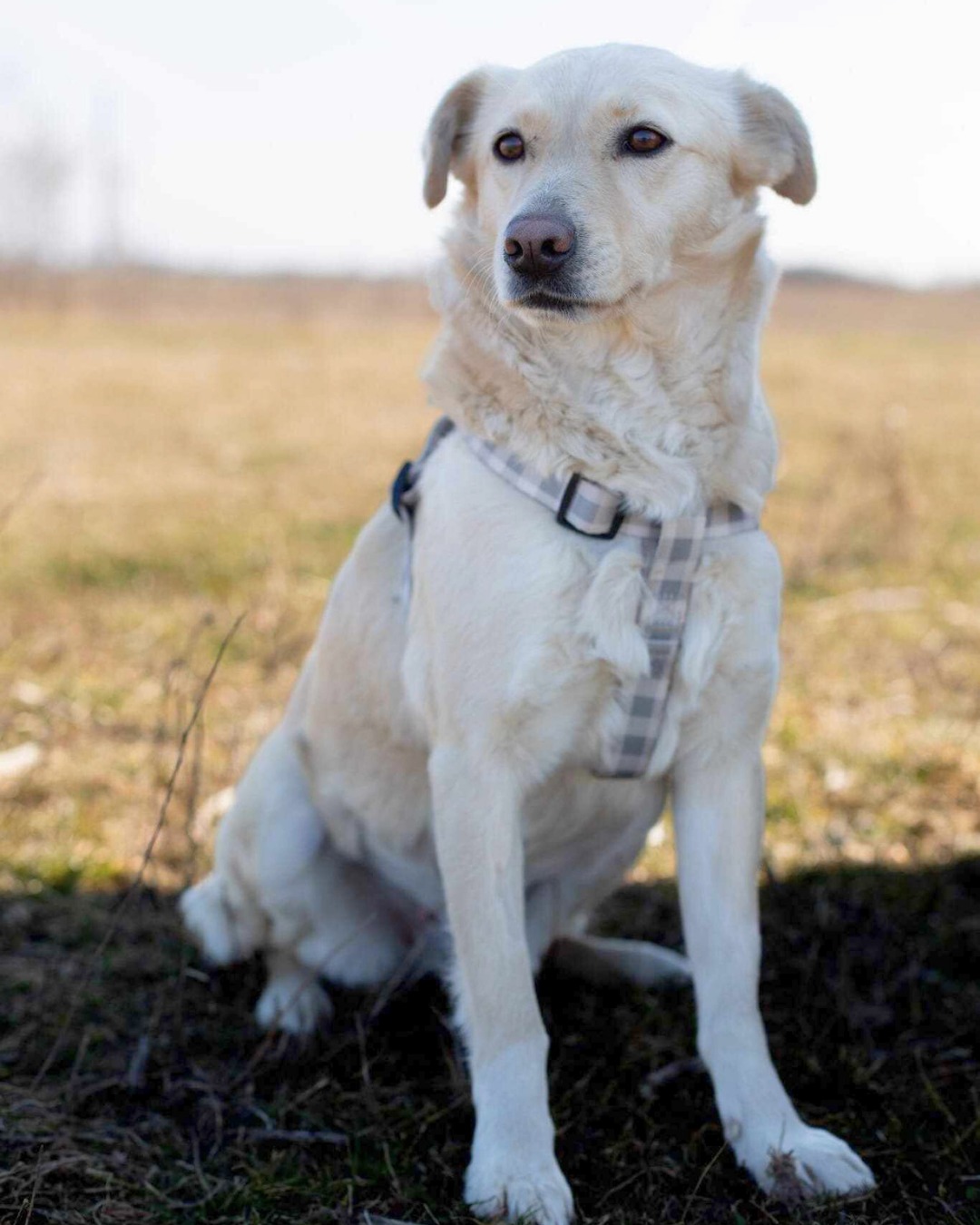 586443409_1156199409963575_3432895851342071309_n