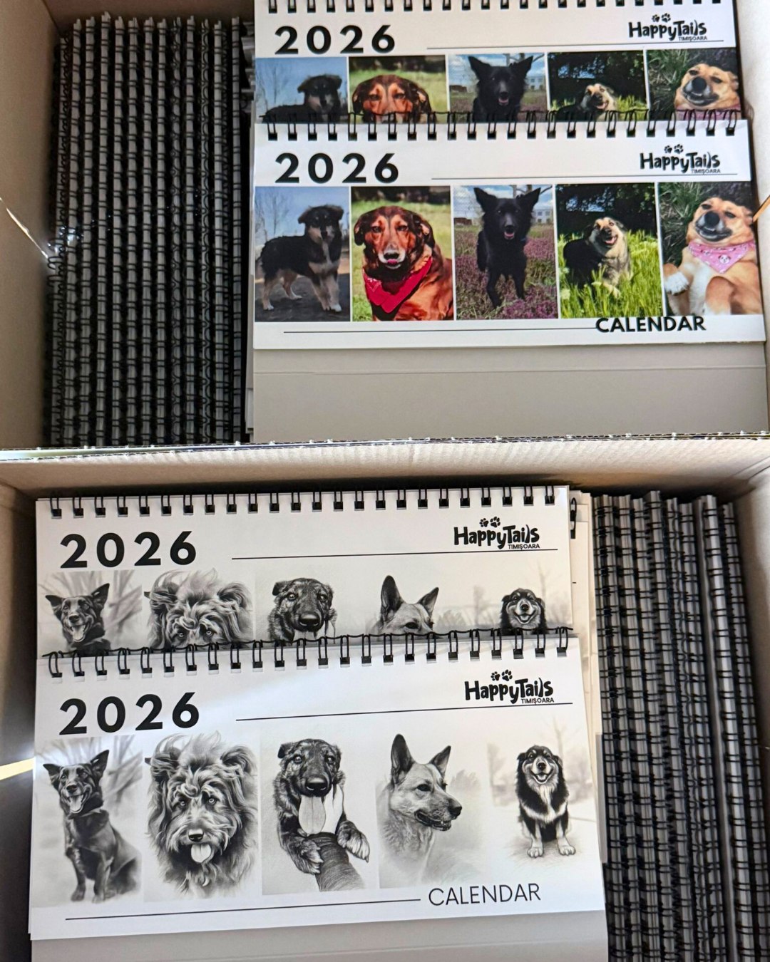 583815098_1156199469963569_6296256982217833877_n