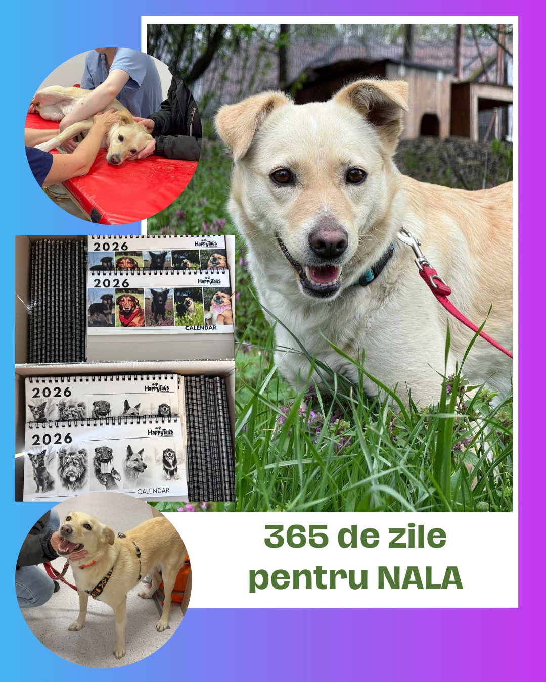 587358271_1156199473296902_2203817274468760072_n