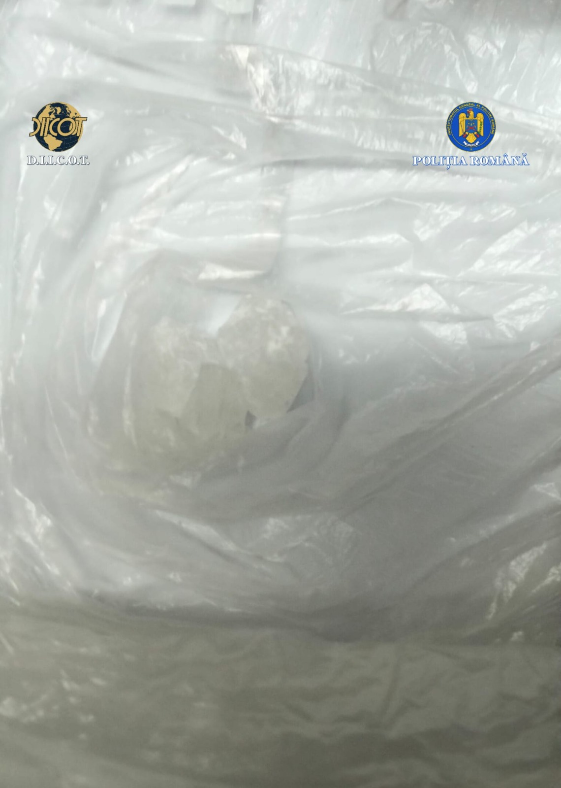 WhatsApp Image 2025-11-26 at 11.12.52 (1)