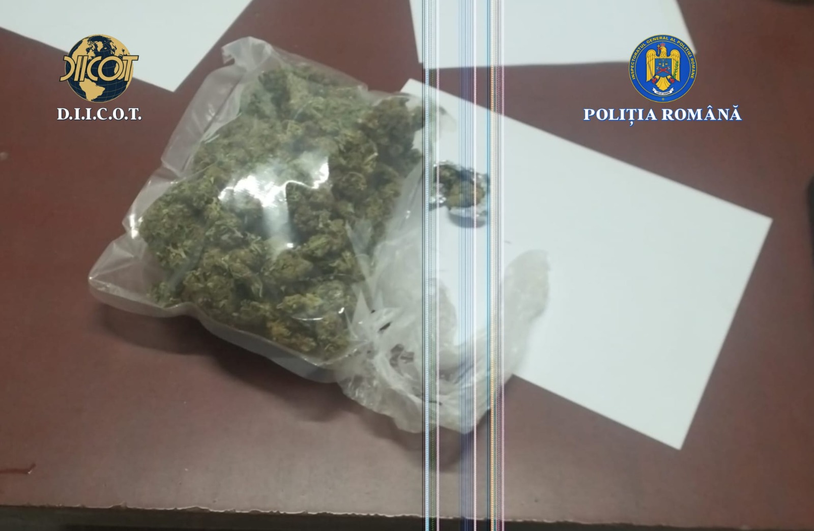 WhatsApp Image 2025-11-26 at 11.12.51