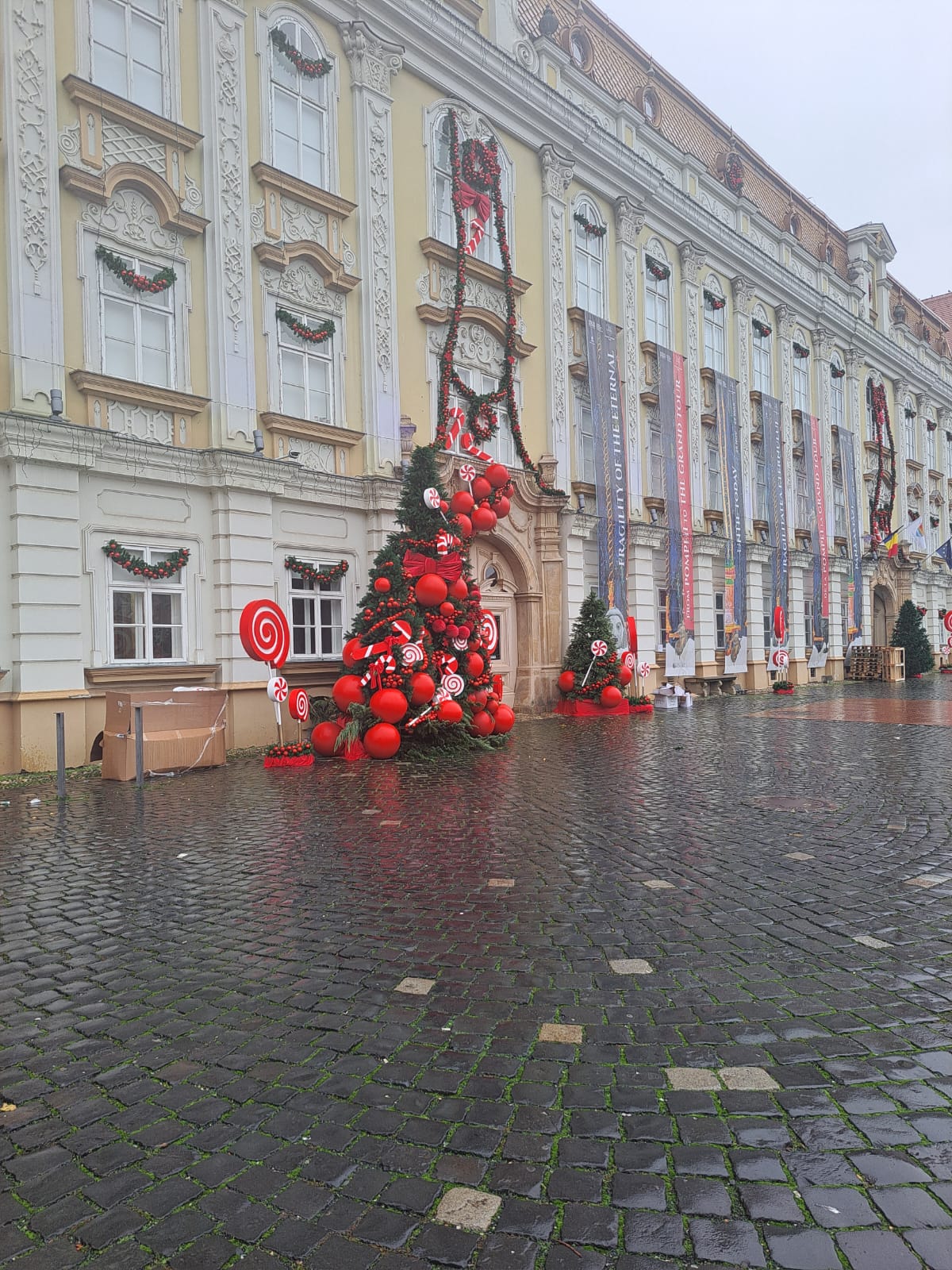 WhatsApp Image 2025-11-26 at 11.50.12 (1)