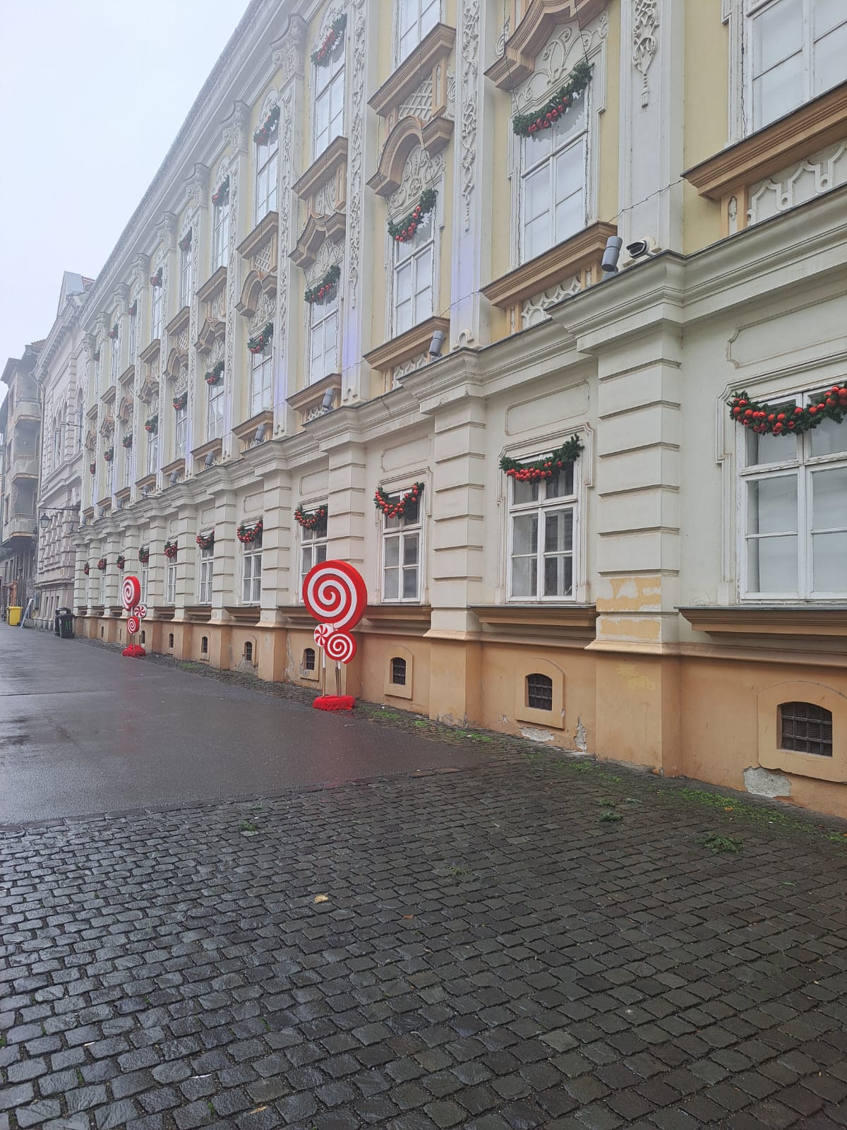 WhatsApp Image 2025-11-26 at 11.50.11 (1)