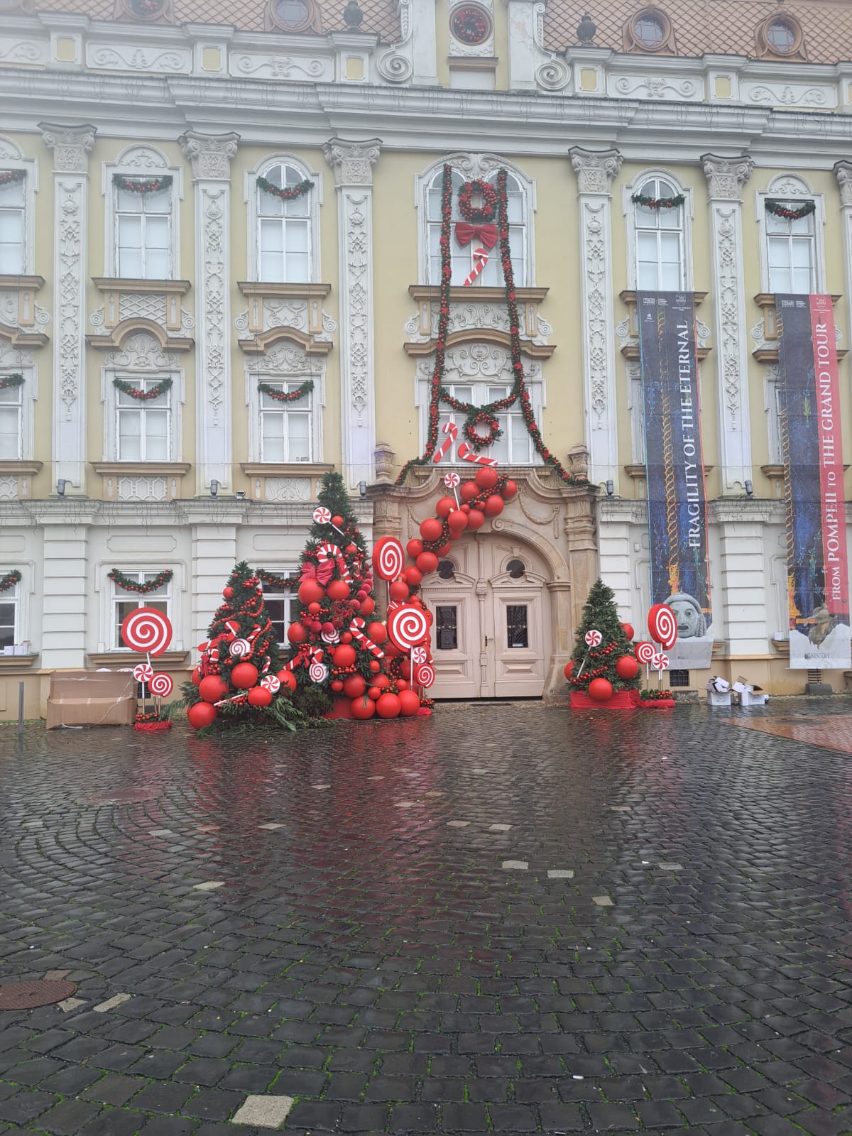 WhatsApp Image 2025-11-26 at 11.50.11