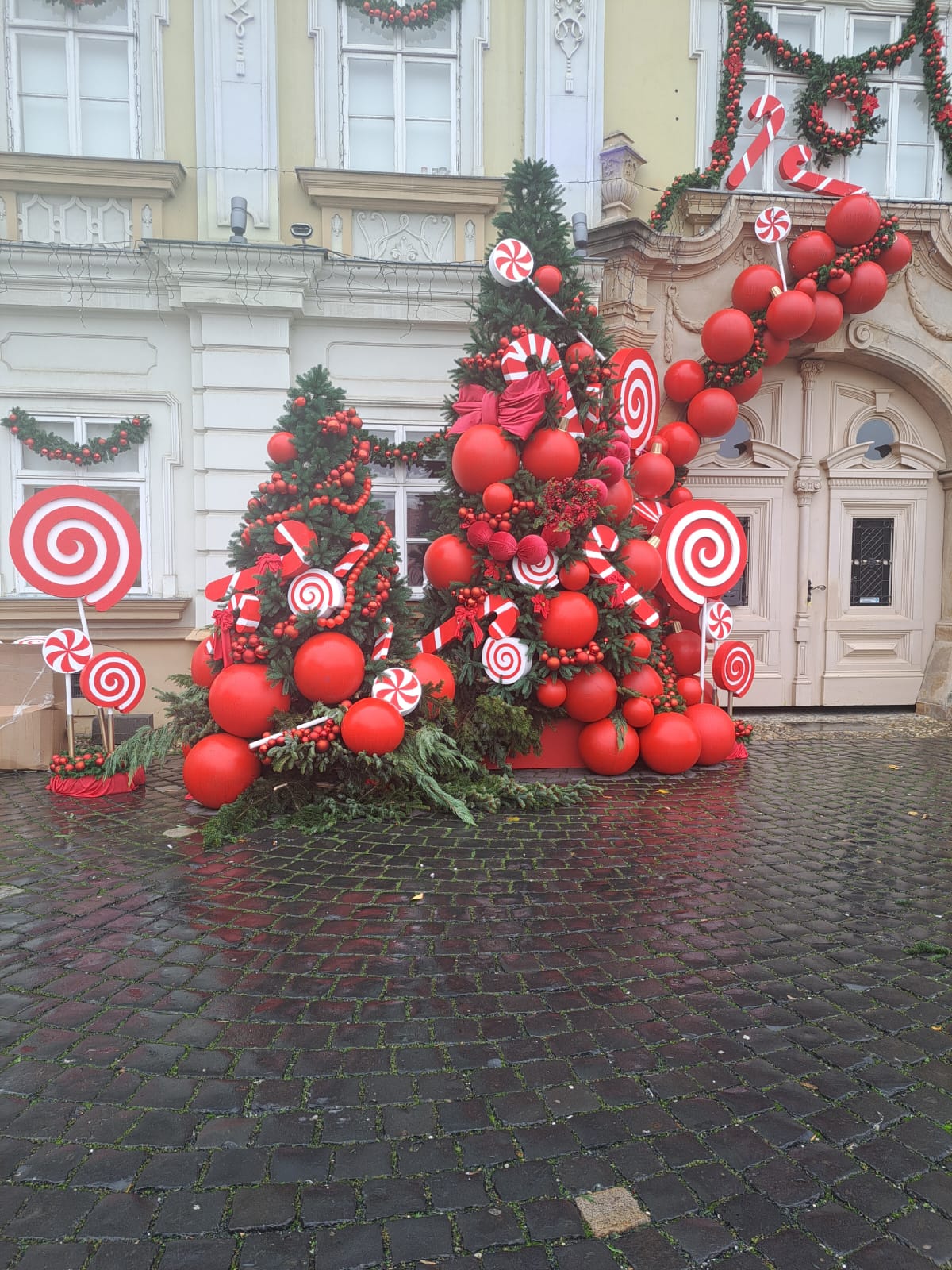 WhatsApp Image 2025-11-26 at 11.50.10