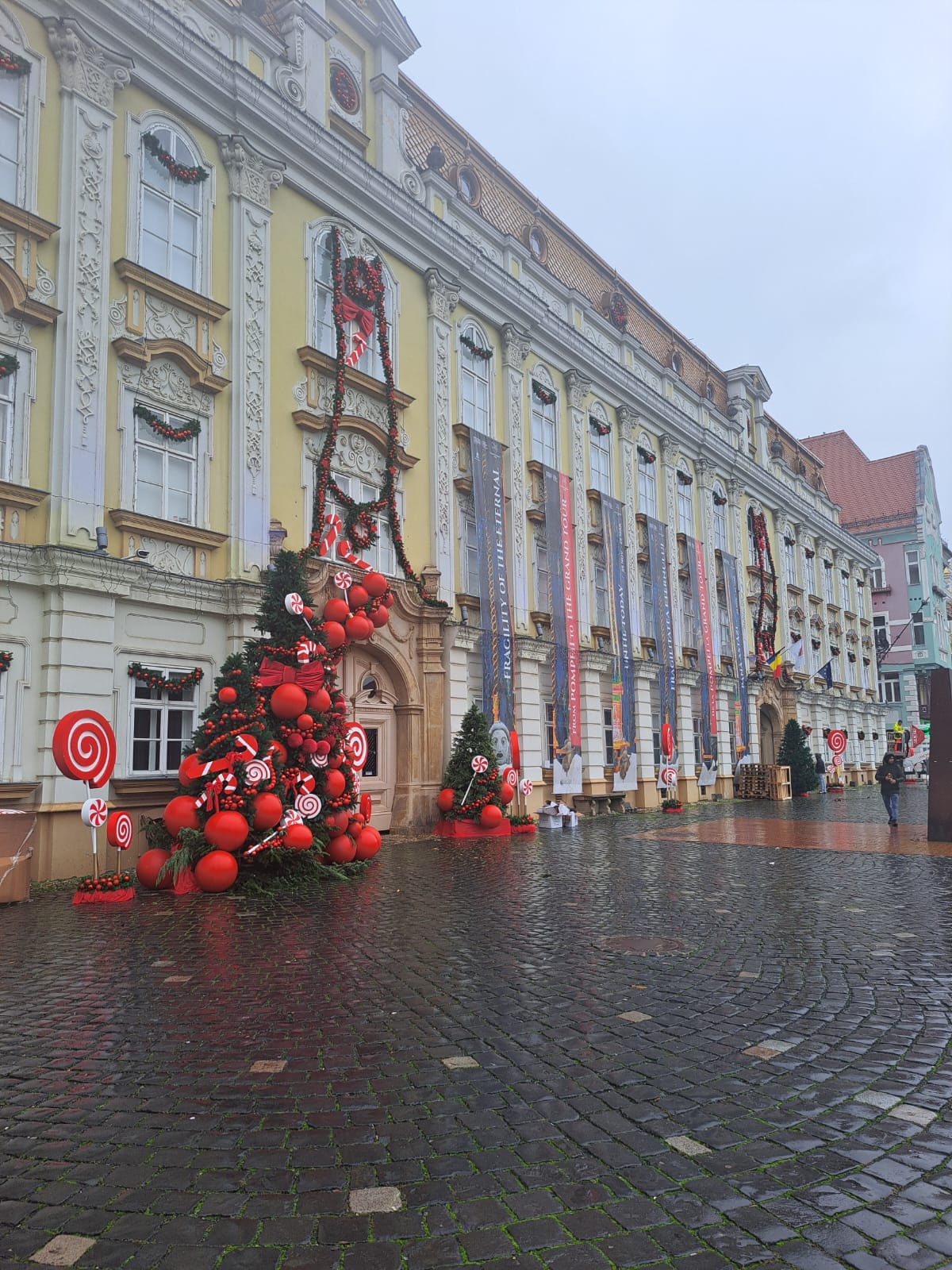 WhatsApp Image 2025-11-26 at 11.50.09