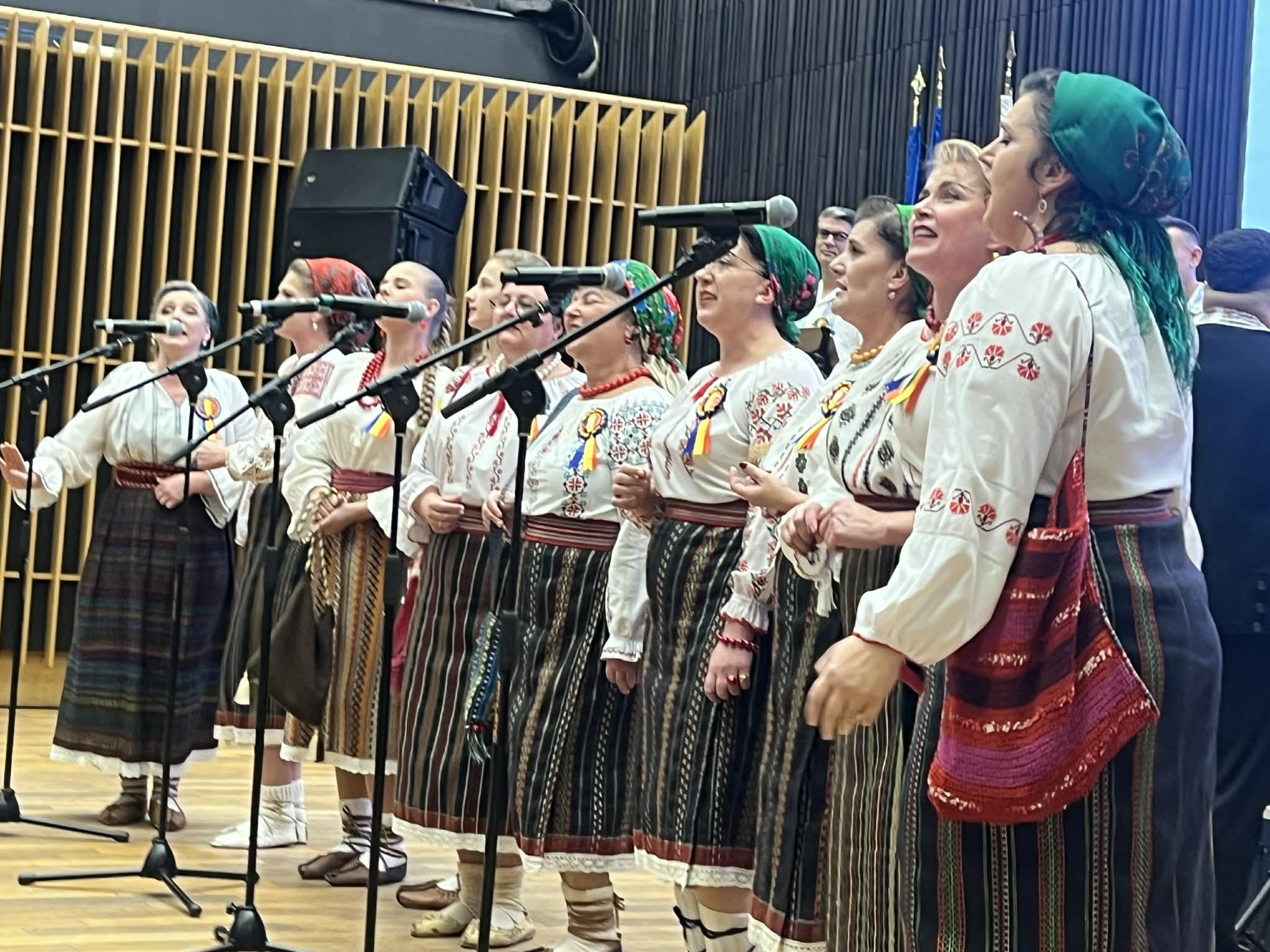 CECART Din suflet de roman 2025 (5)