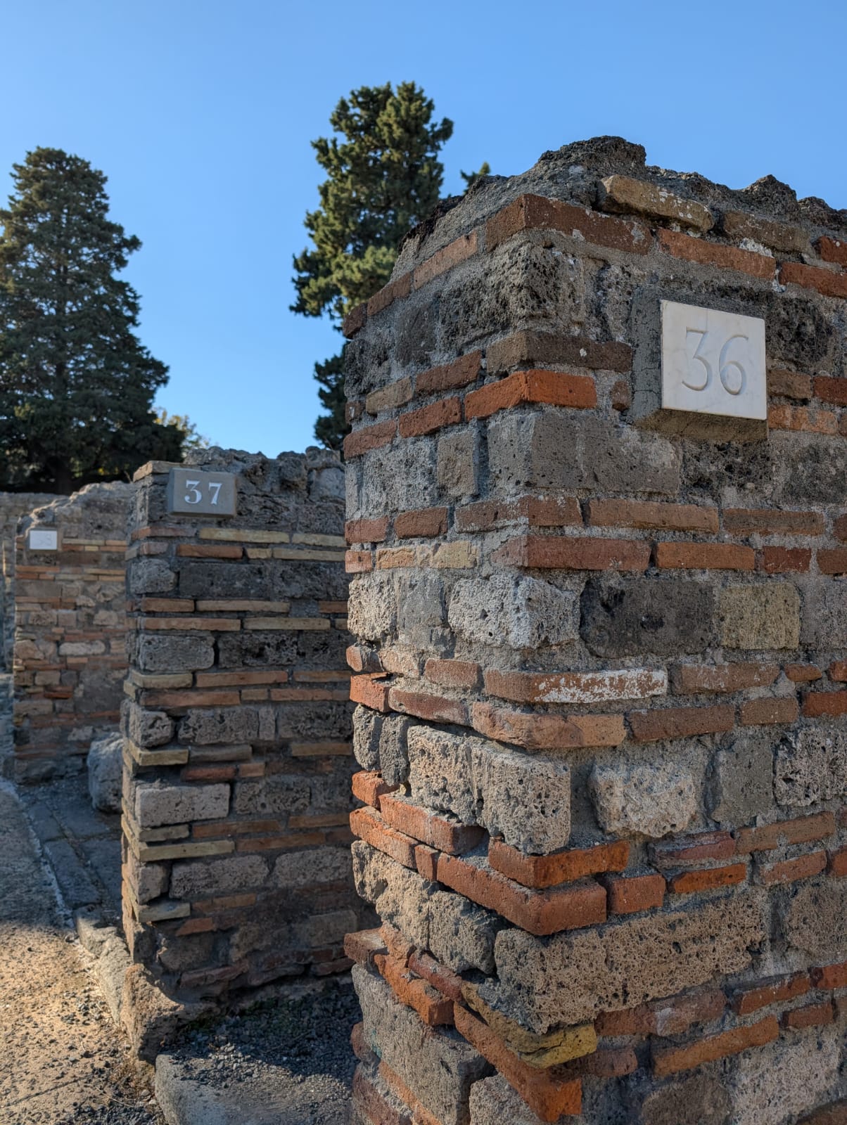 WhatsApp Image 2025-11-28 at 11.45.00 (2)