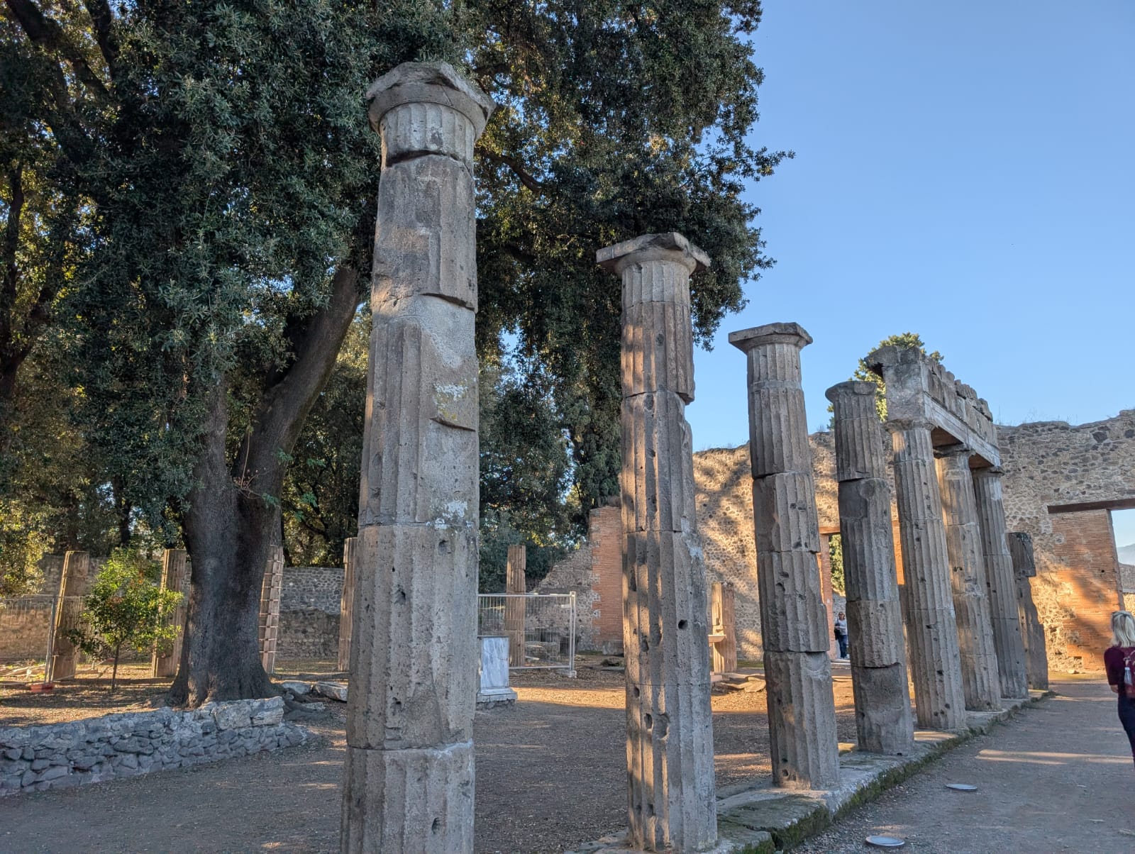 WhatsApp Image 2025-11-28 at 11.45.00 (1)