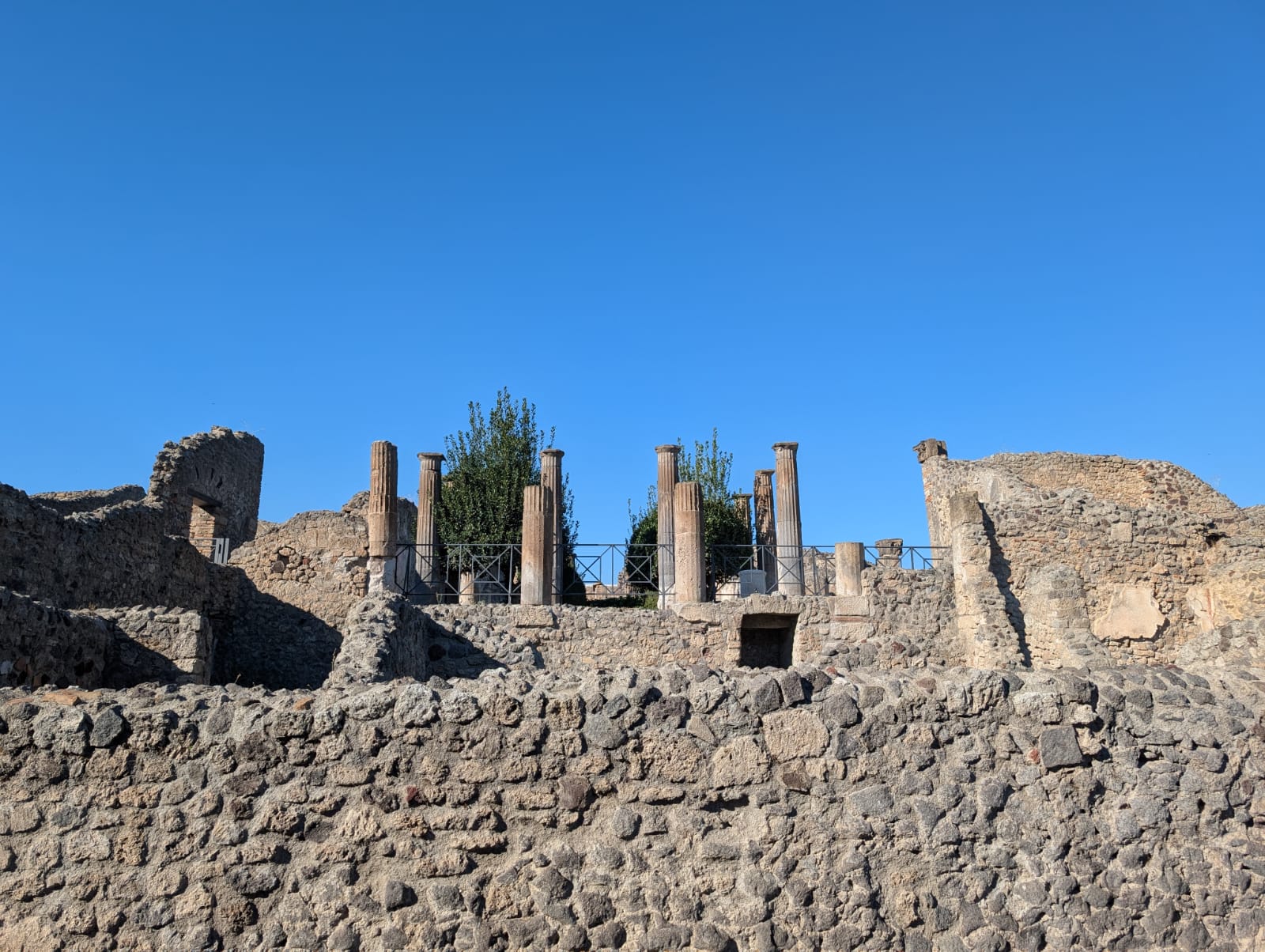 WhatsApp Image 2025-11-28 at 11.44.59 (1)