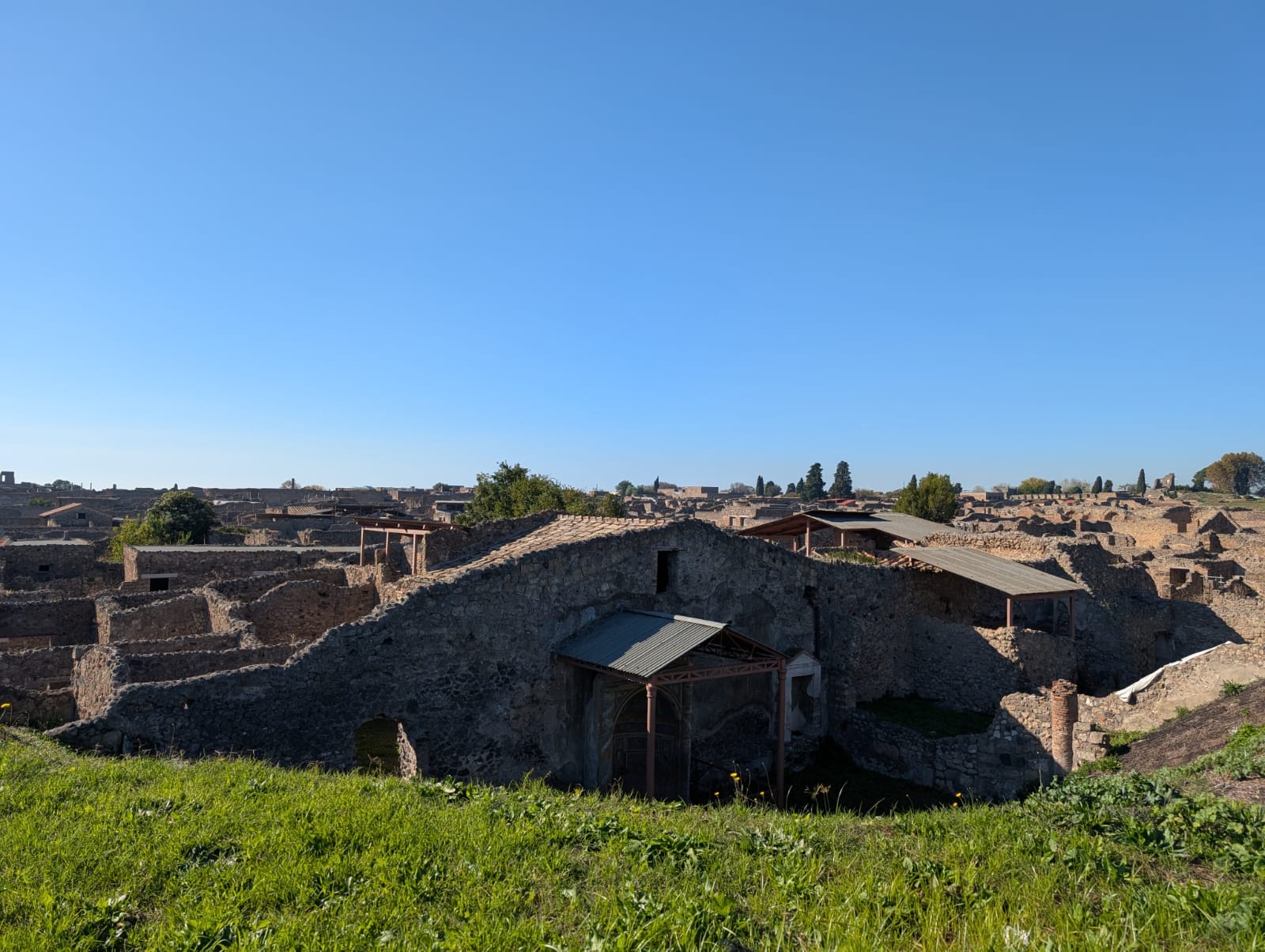 WhatsApp Image 2025-11-28 at 11.44.58 (3)