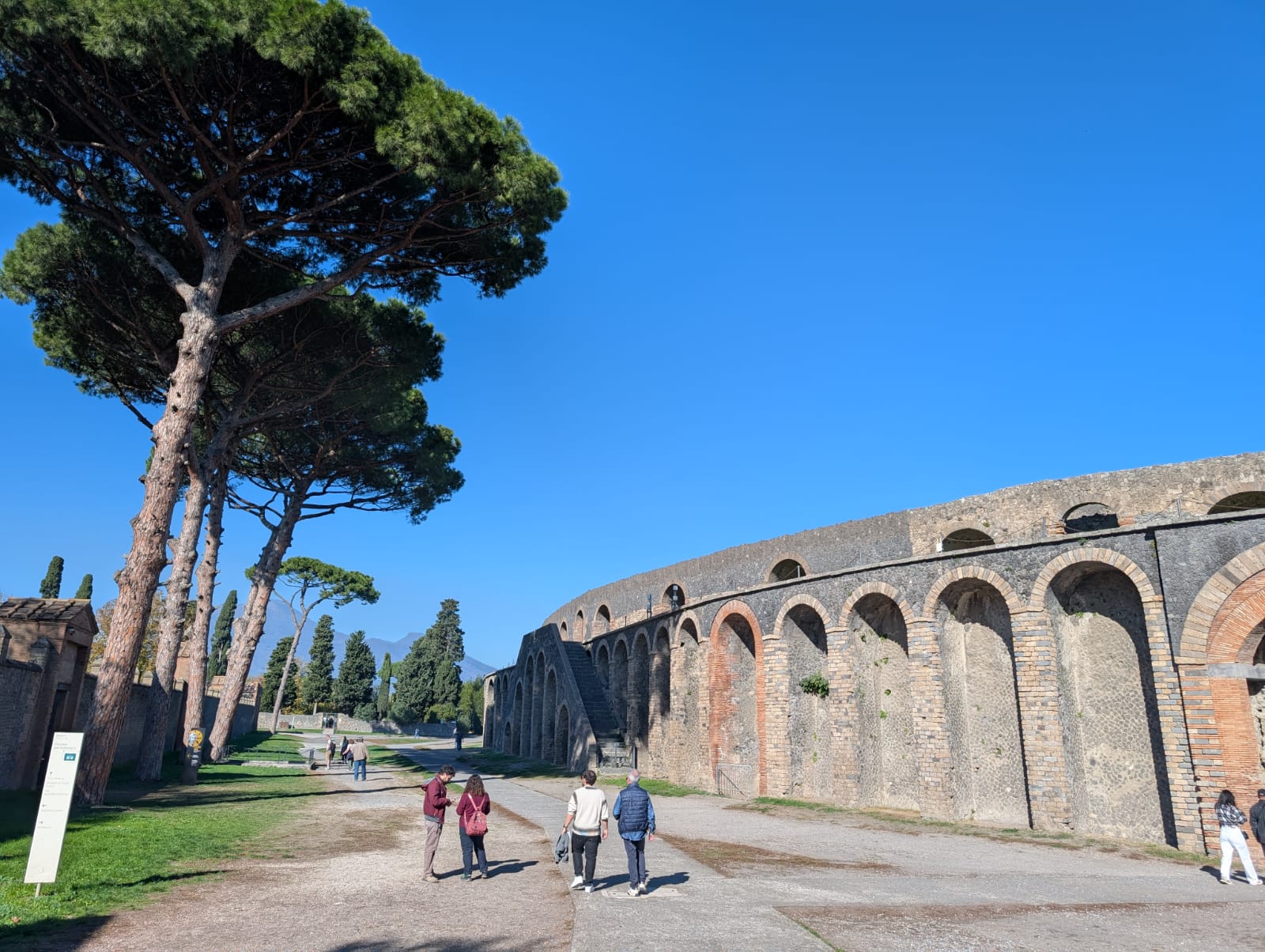 WhatsApp Image 2025-11-28 at 11.44.56