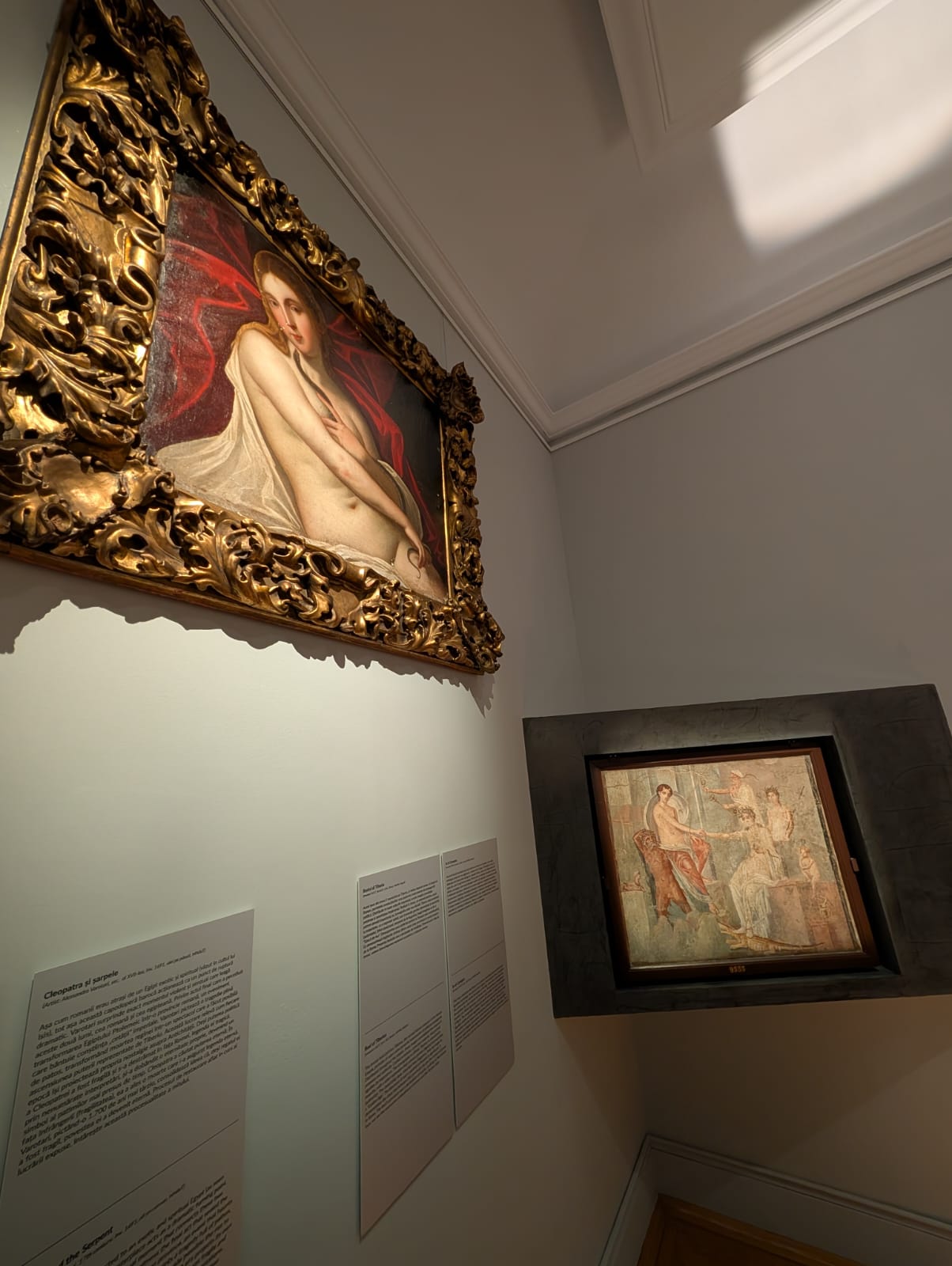 WhatsApp Image 2025-11-28 at 12.05.44