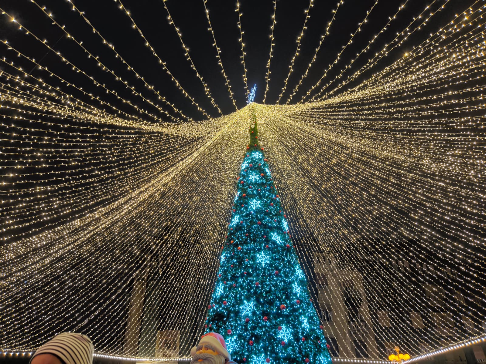 targcraciun 2026 1 (8)