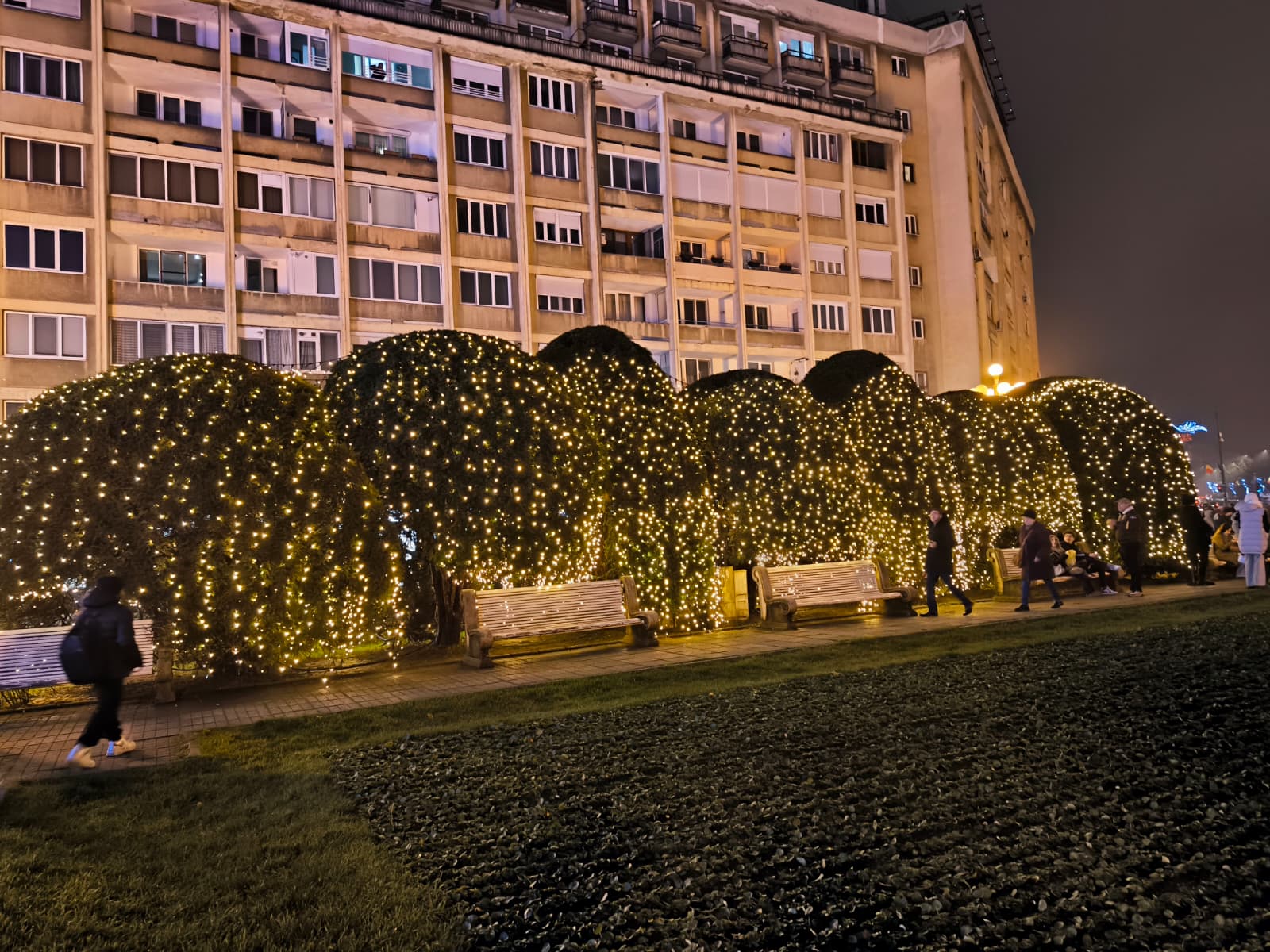 targ craciun 2025 (7)