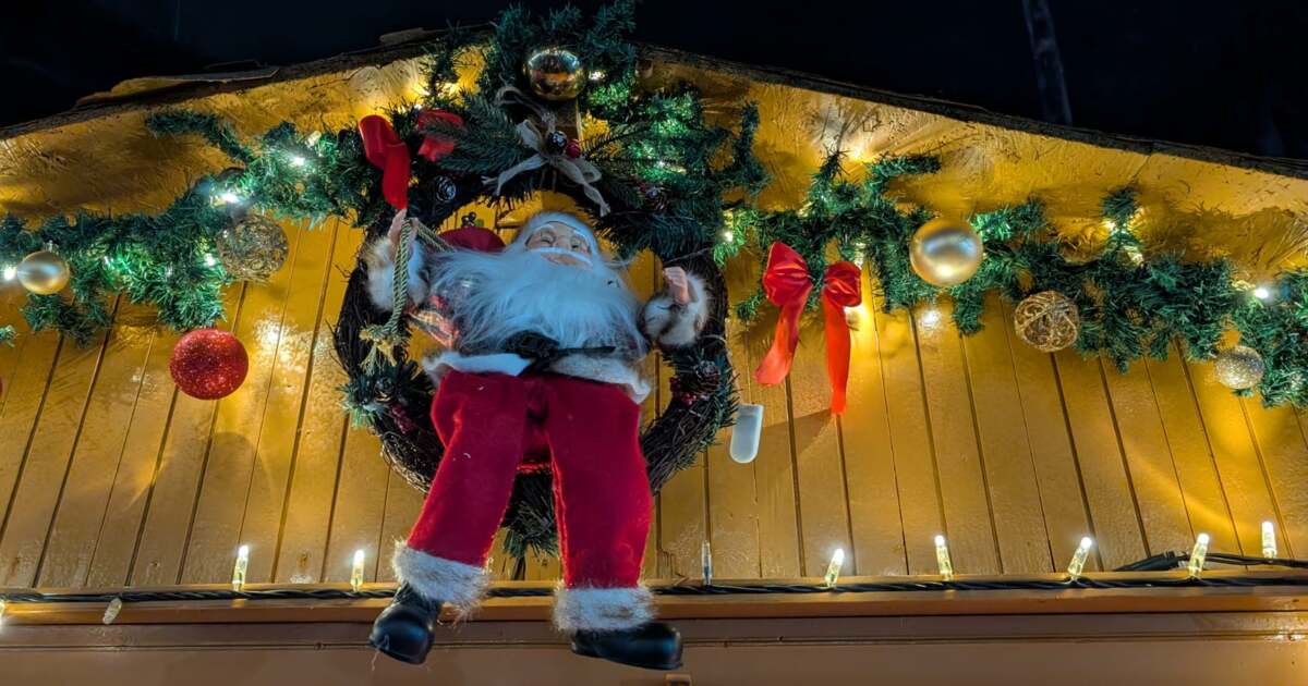 Ce evenimente interesante ne aduce Timișoara pe 15 decembrie 2025?