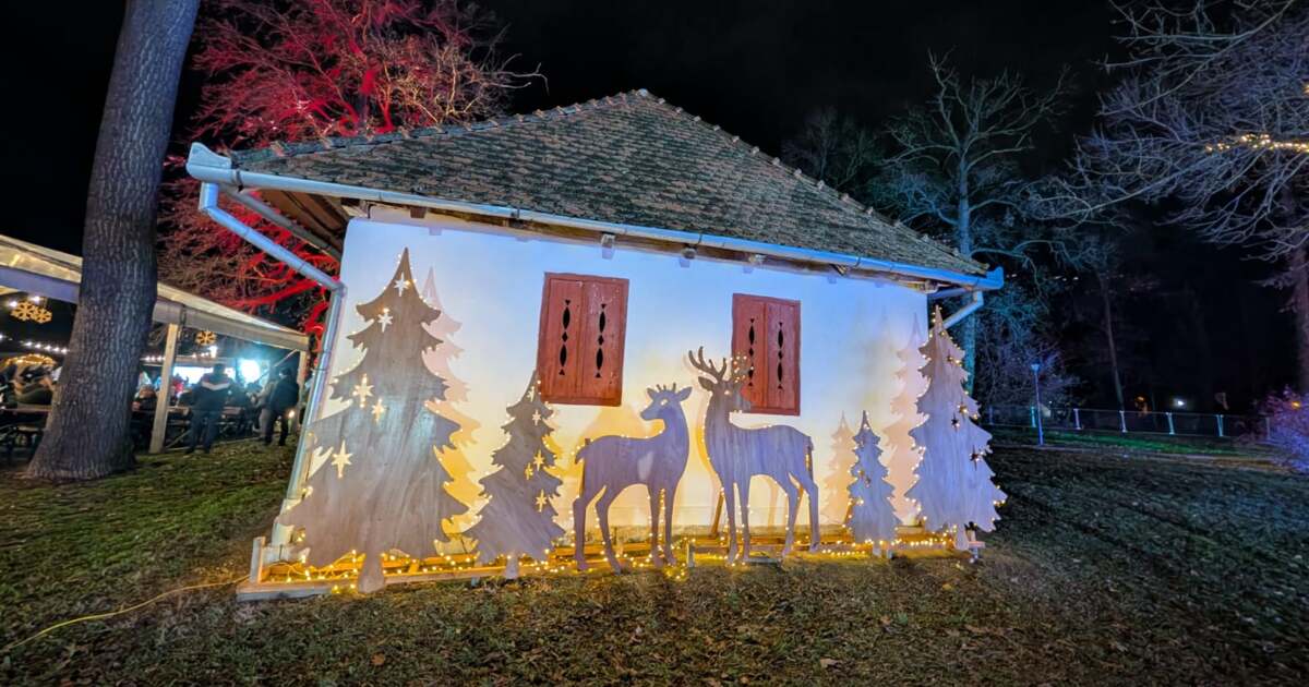 Ce evenimente interesante au loc astăzi, 14 decembrie 2025, în Timișoara? Ce evenimente interesante au loc astăzi, 14 decembrie 2025, în Timișoara?