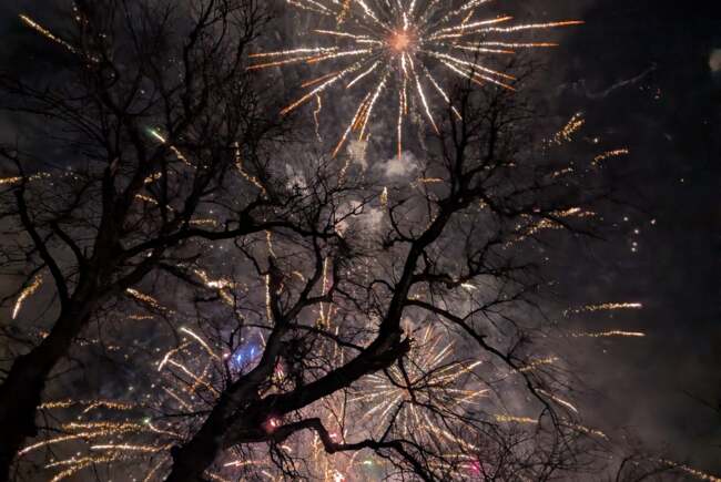 Poza pentru articolul Ce facem astăzi, 13 ianuarie 2026, în Timișoara?