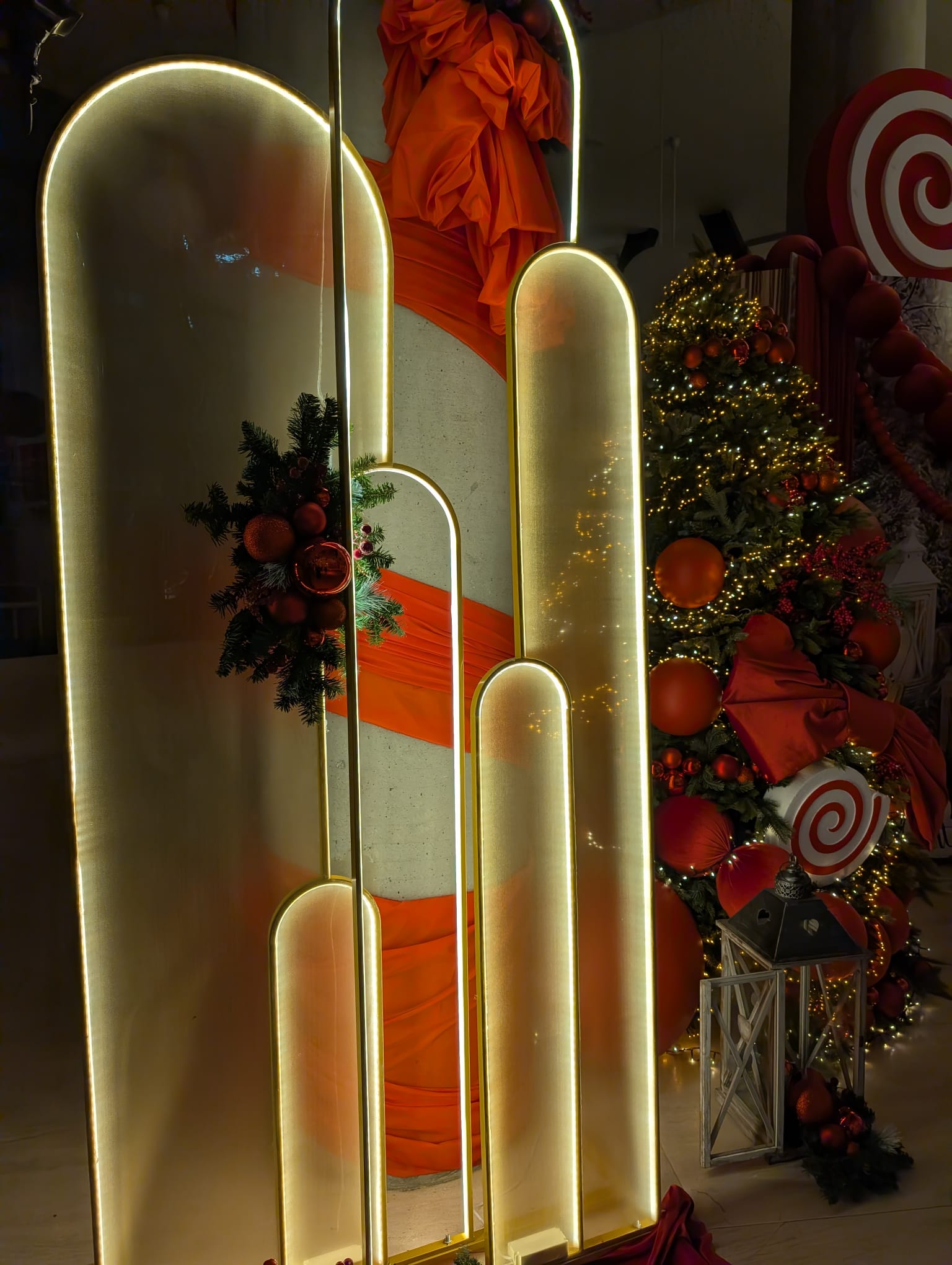 palatul administrativ timis de craciun (21)