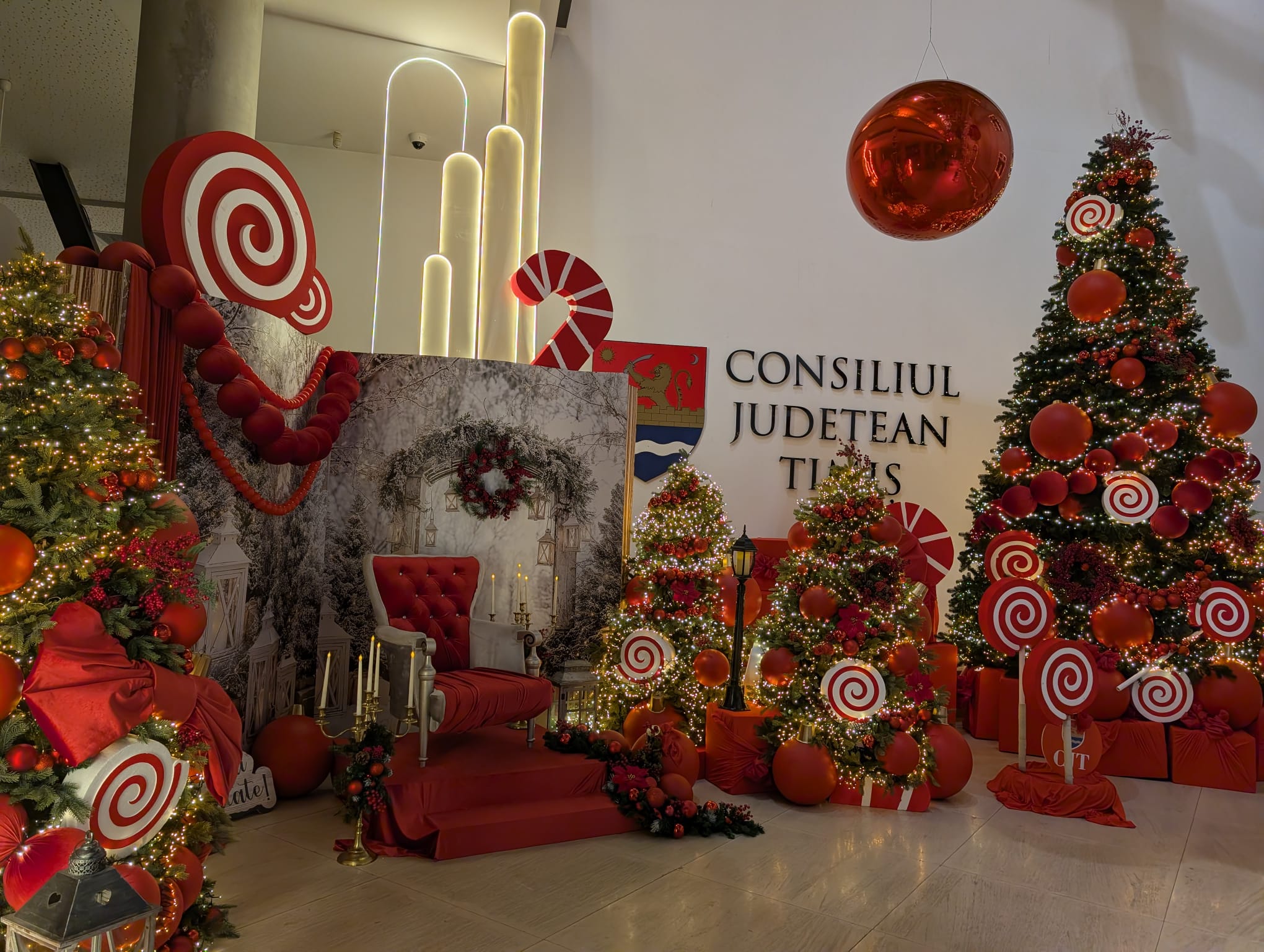 palatul administrativ timis de craciun (20)