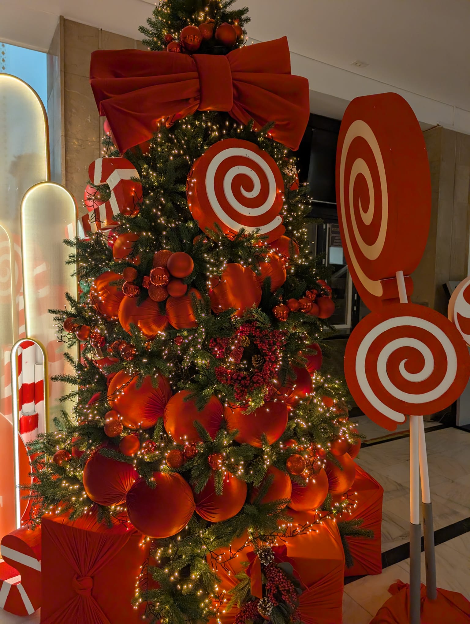 palatul administrativ timis de craciun (15)