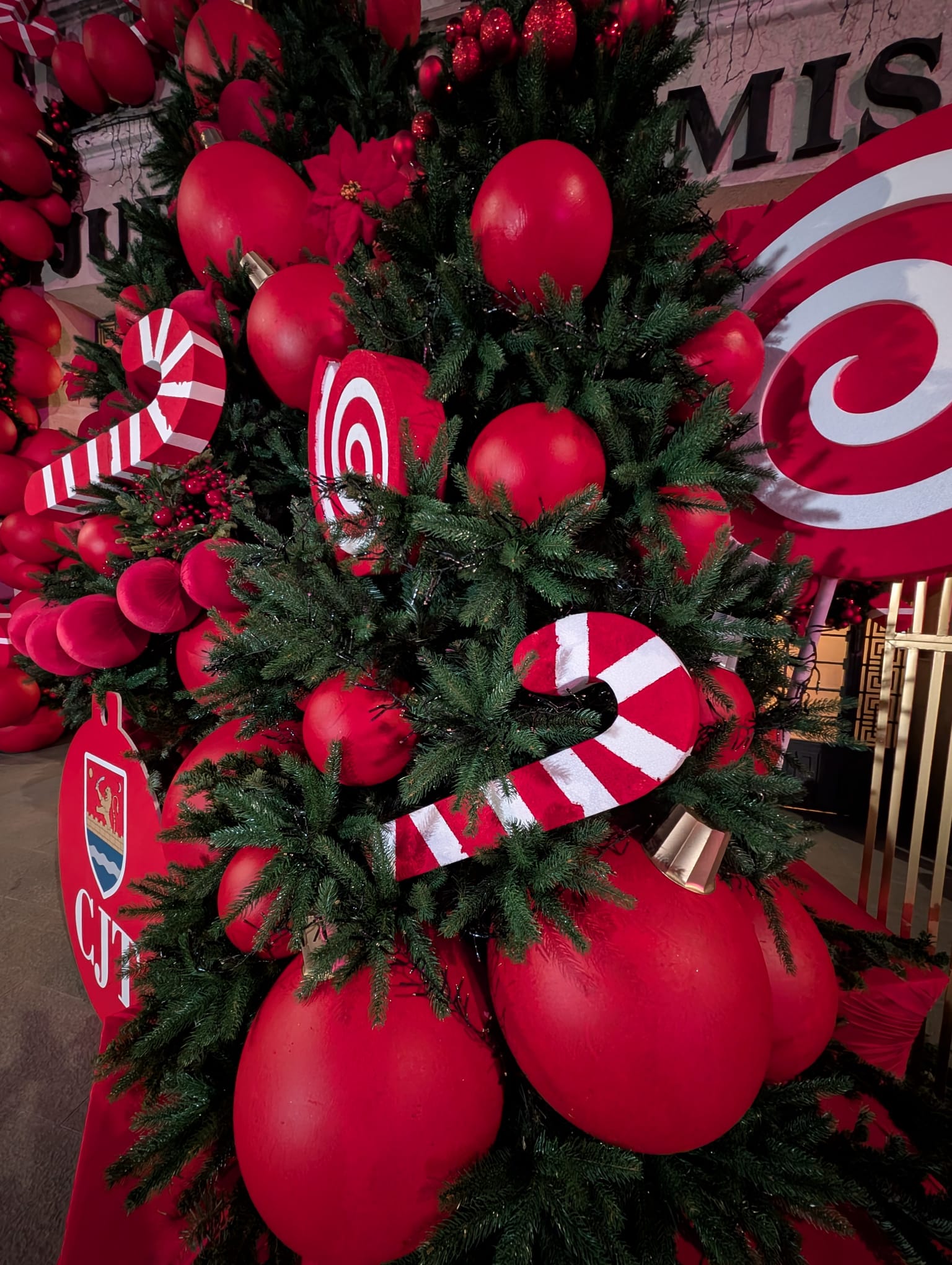 palatul administrativ timis de craciun (10)