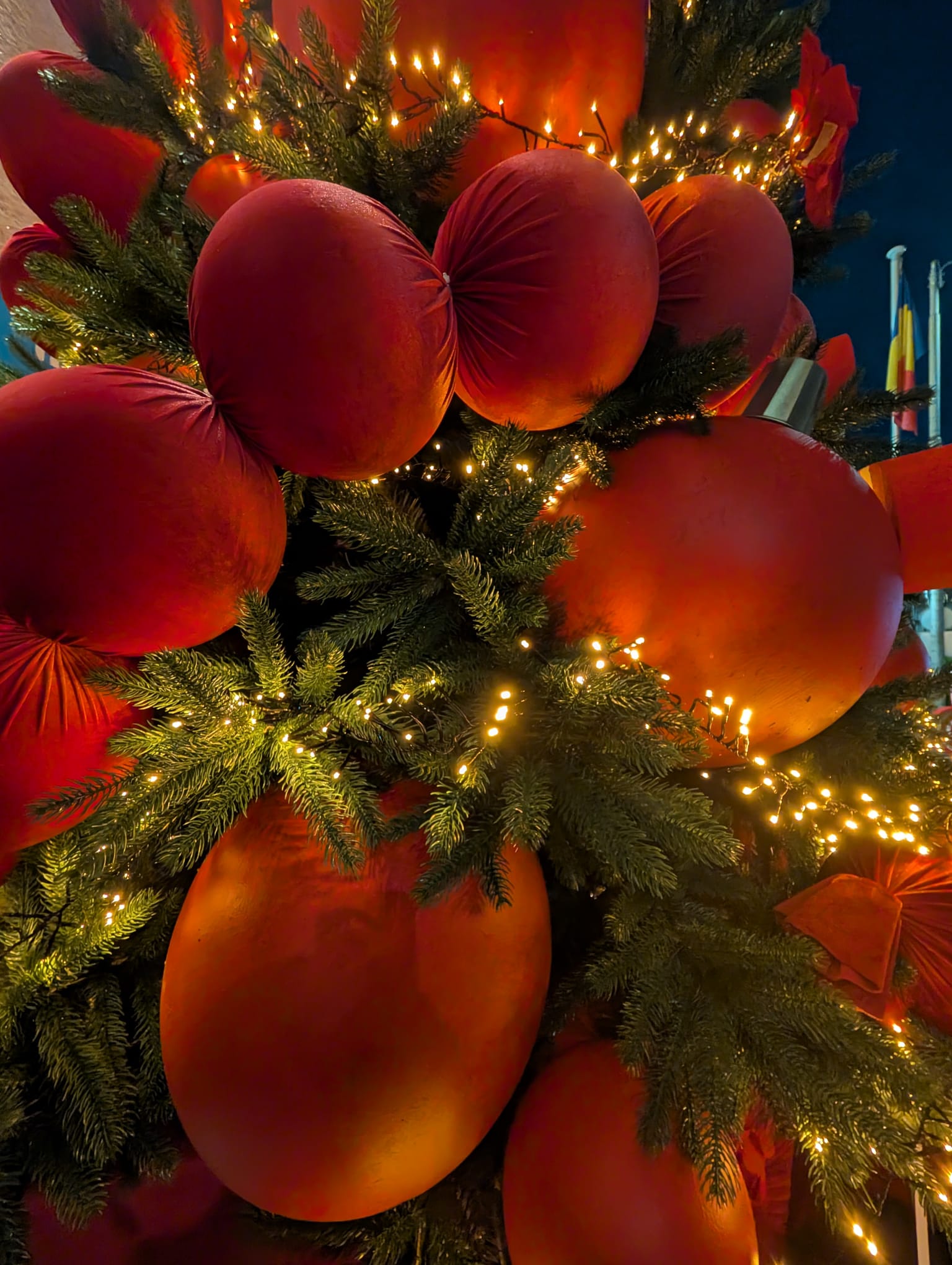 palatul administrativ timis de craciun (4)