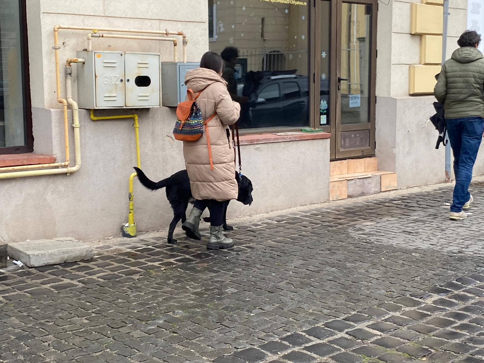 WhatsApp Image 2025-12-03 at 15.24.31 (1)