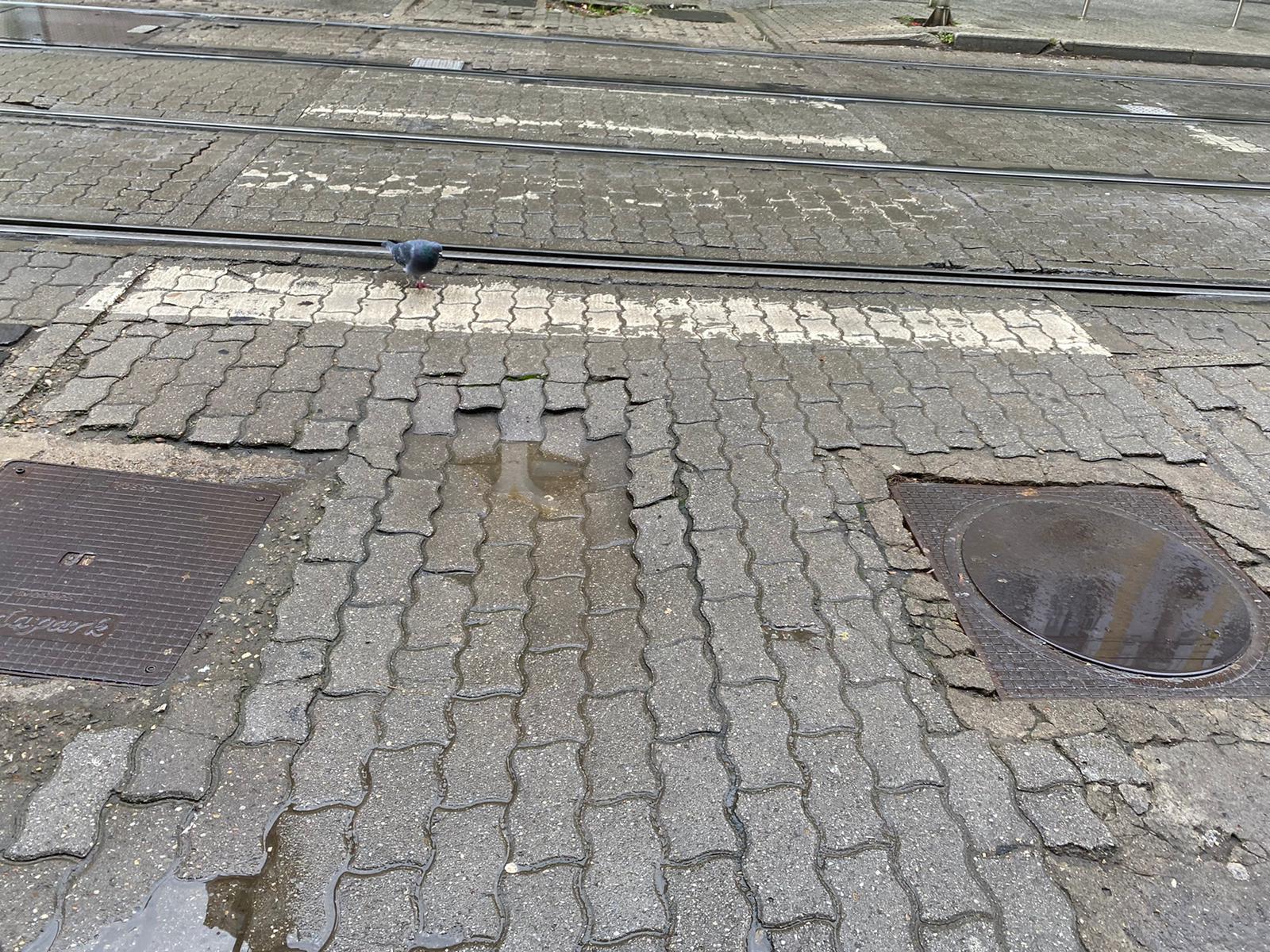 WhatsApp Image 2025-12-03 at 15.24.30