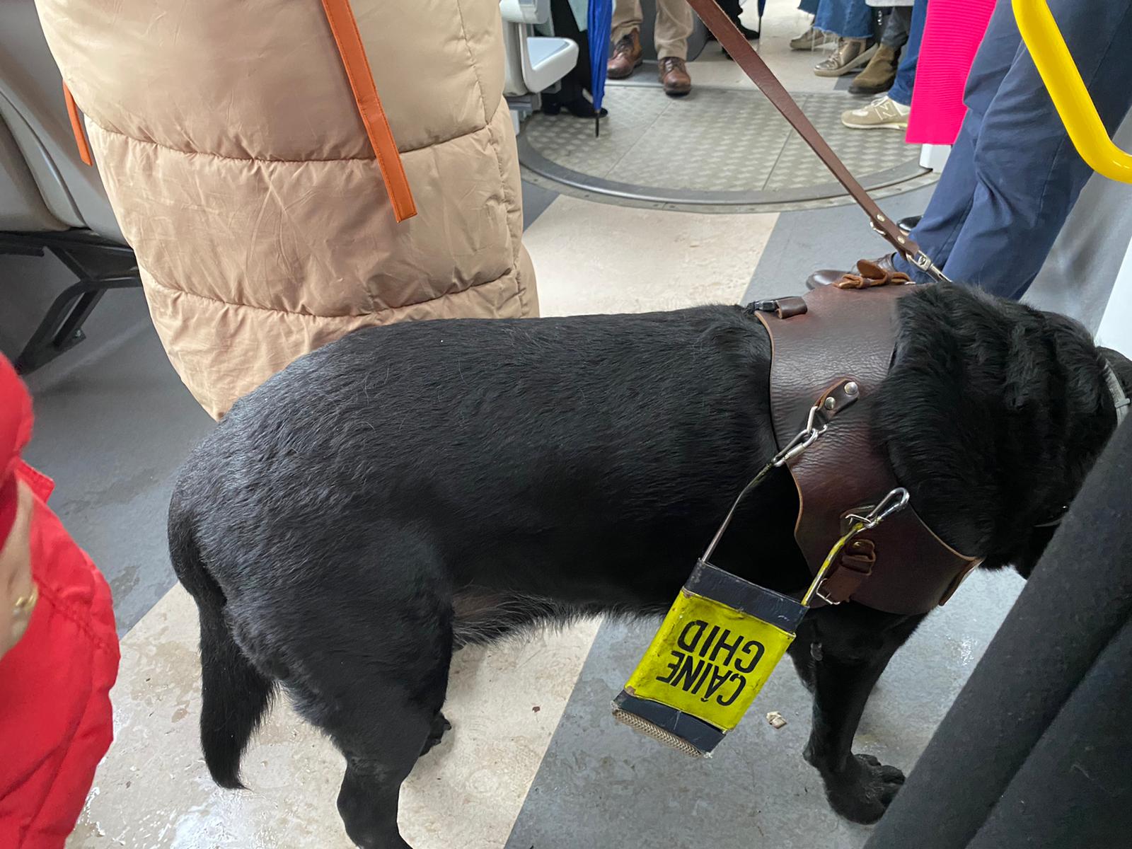 WhatsApp Image 2025-12-03 at 15.24.28 (2)