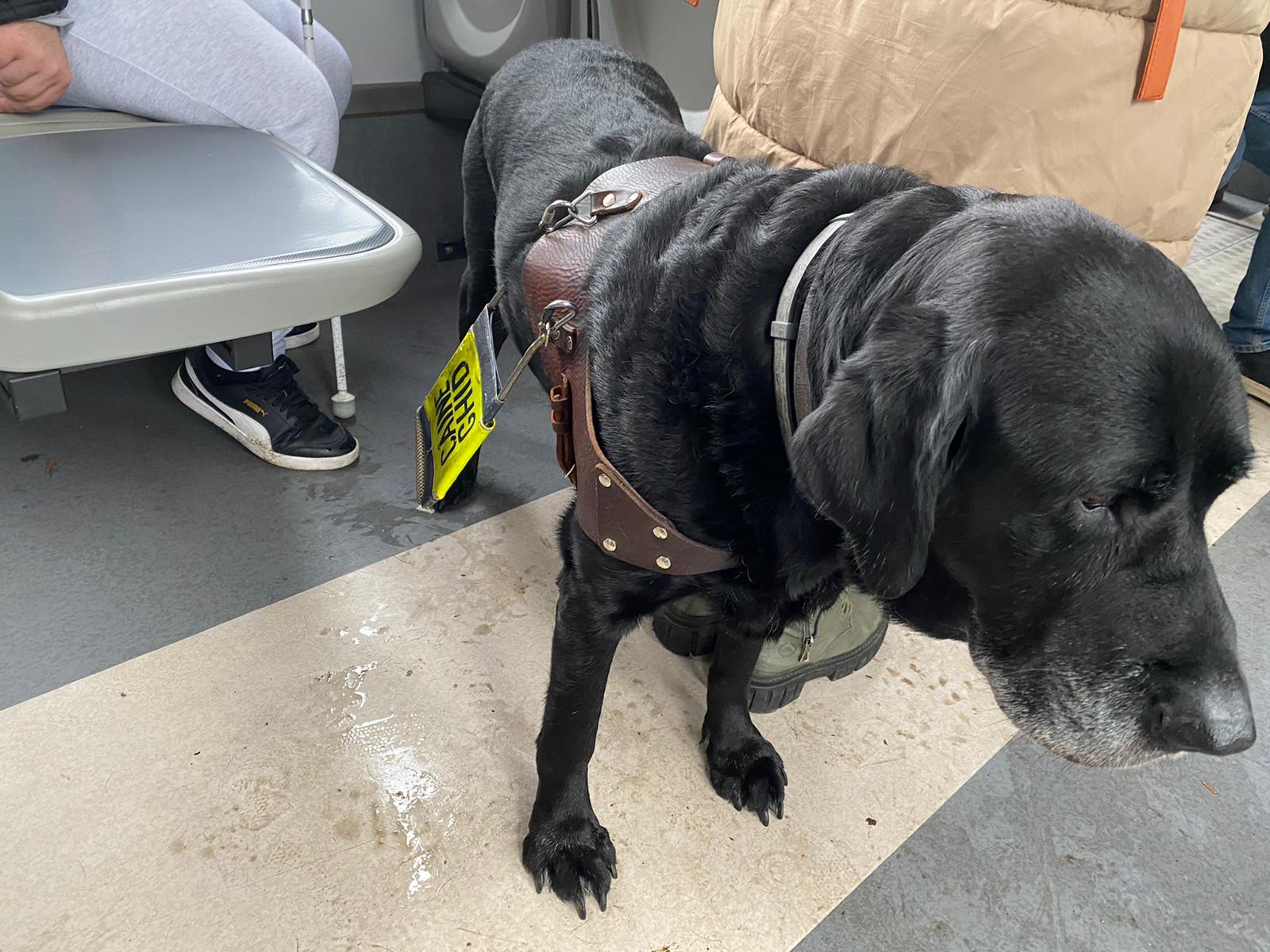 WhatsApp Image 2025-12-03 at 15.24.28 (1)