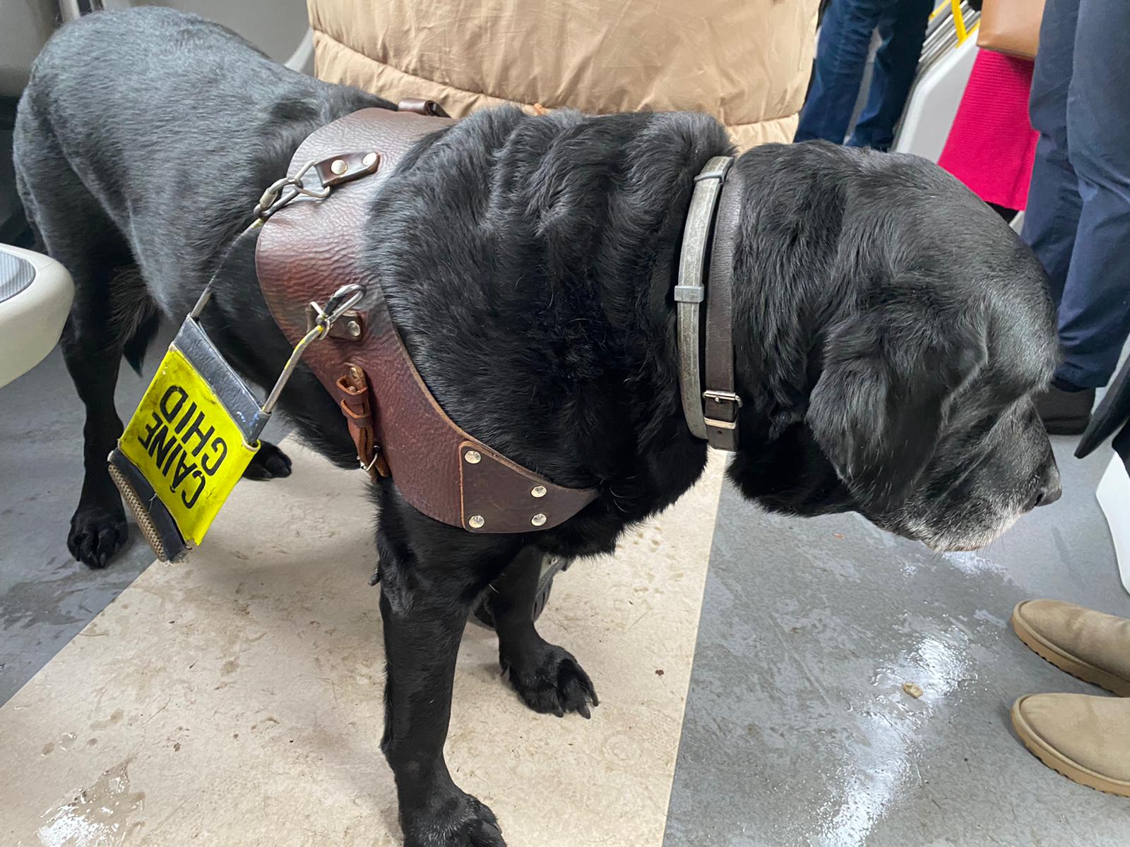 WhatsApp Image 2025-12-03 at 15.24.28