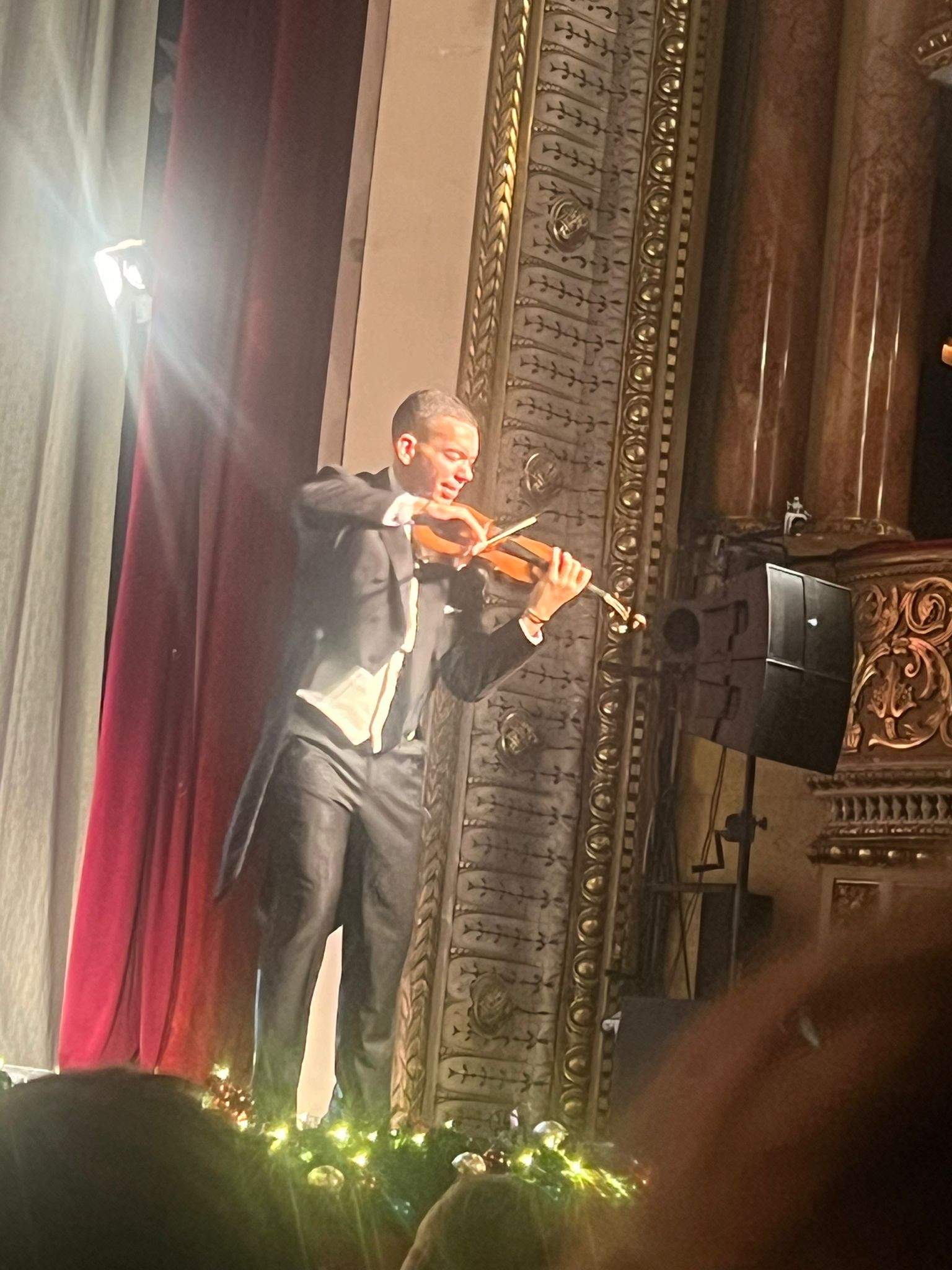 regal vienez 2025 (4)