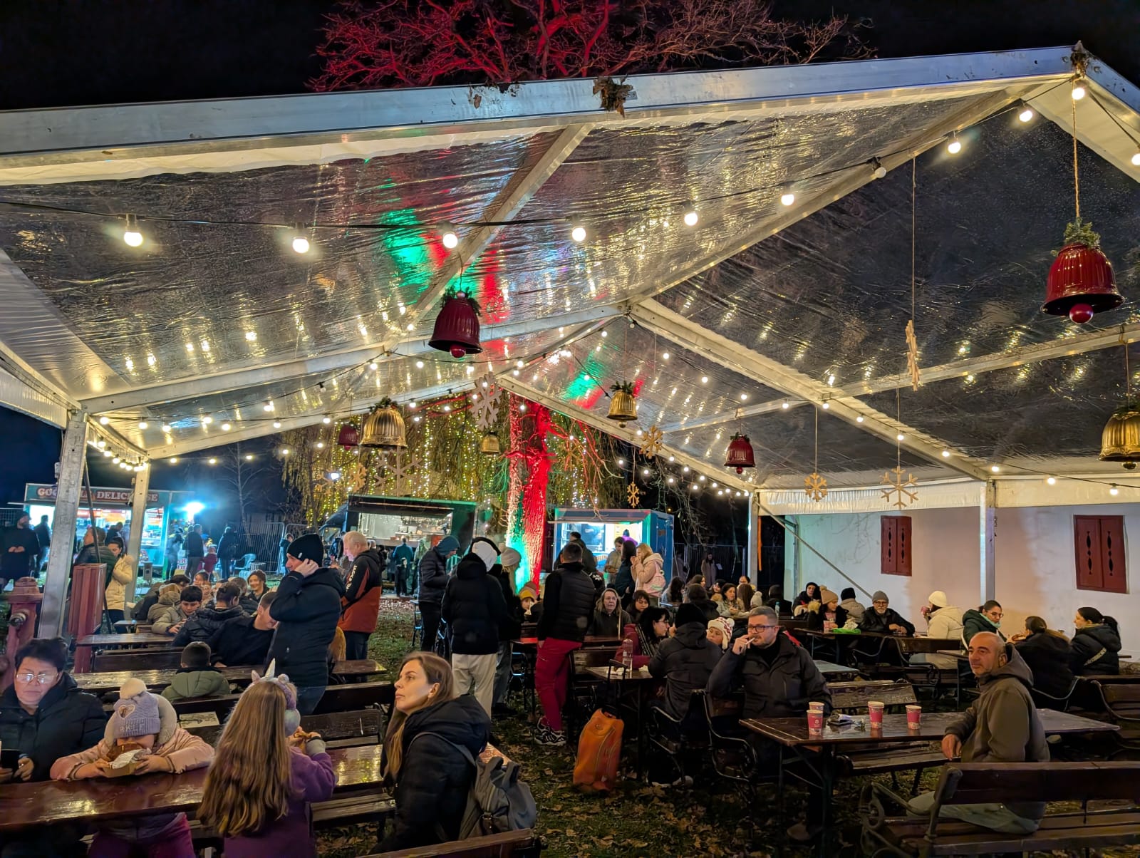 Lights of the Village (10)