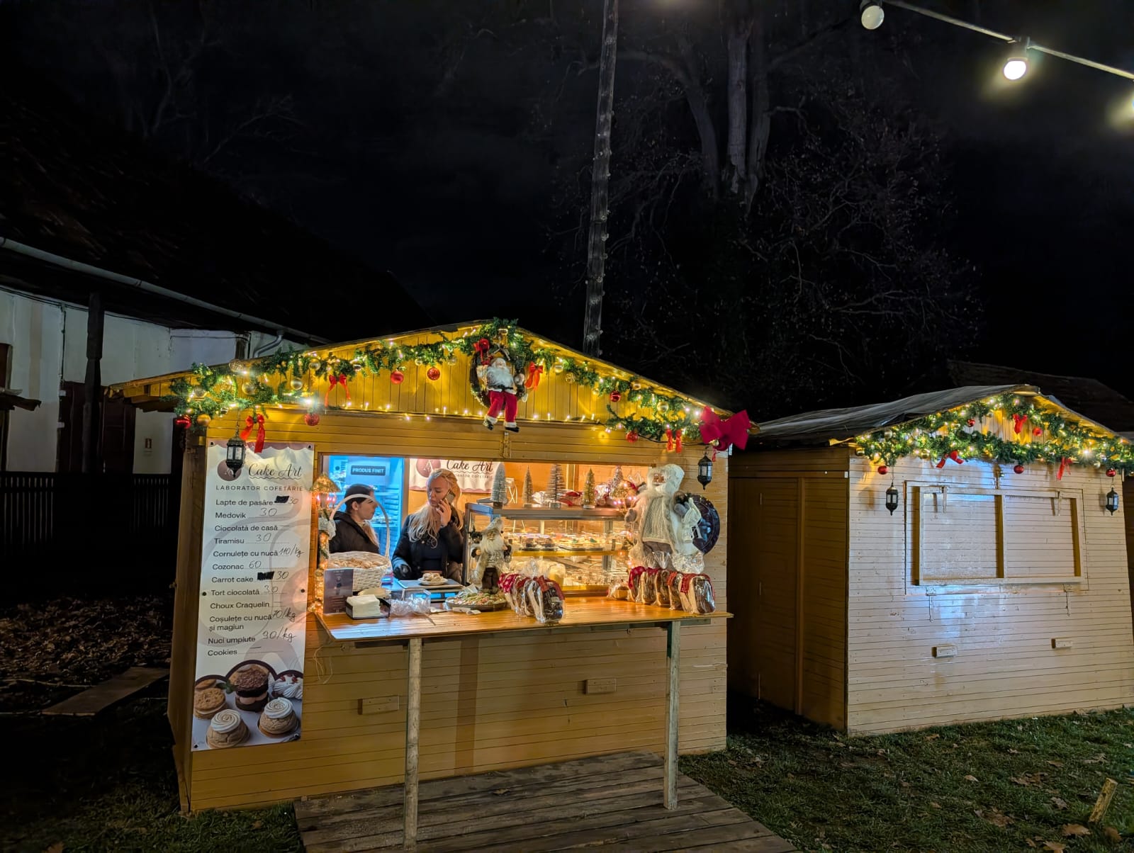 Lights of the Village (7)