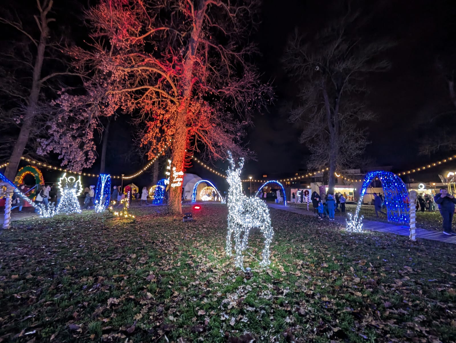 Lights of the Village (2)