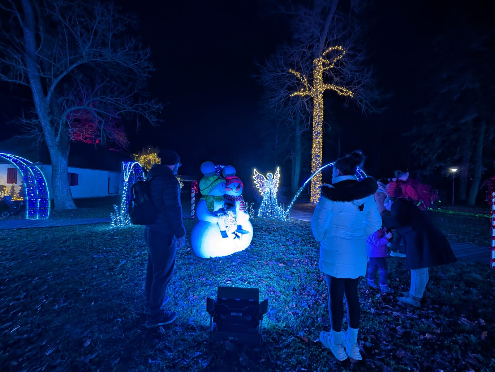 Lights of the Village (3)