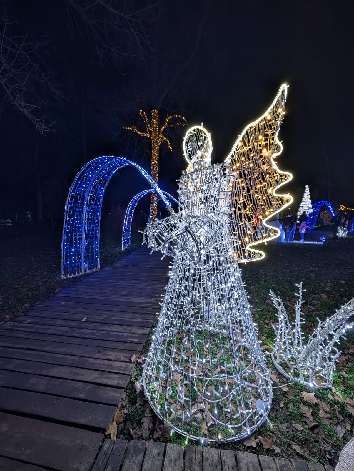 Lights of the Village (1)