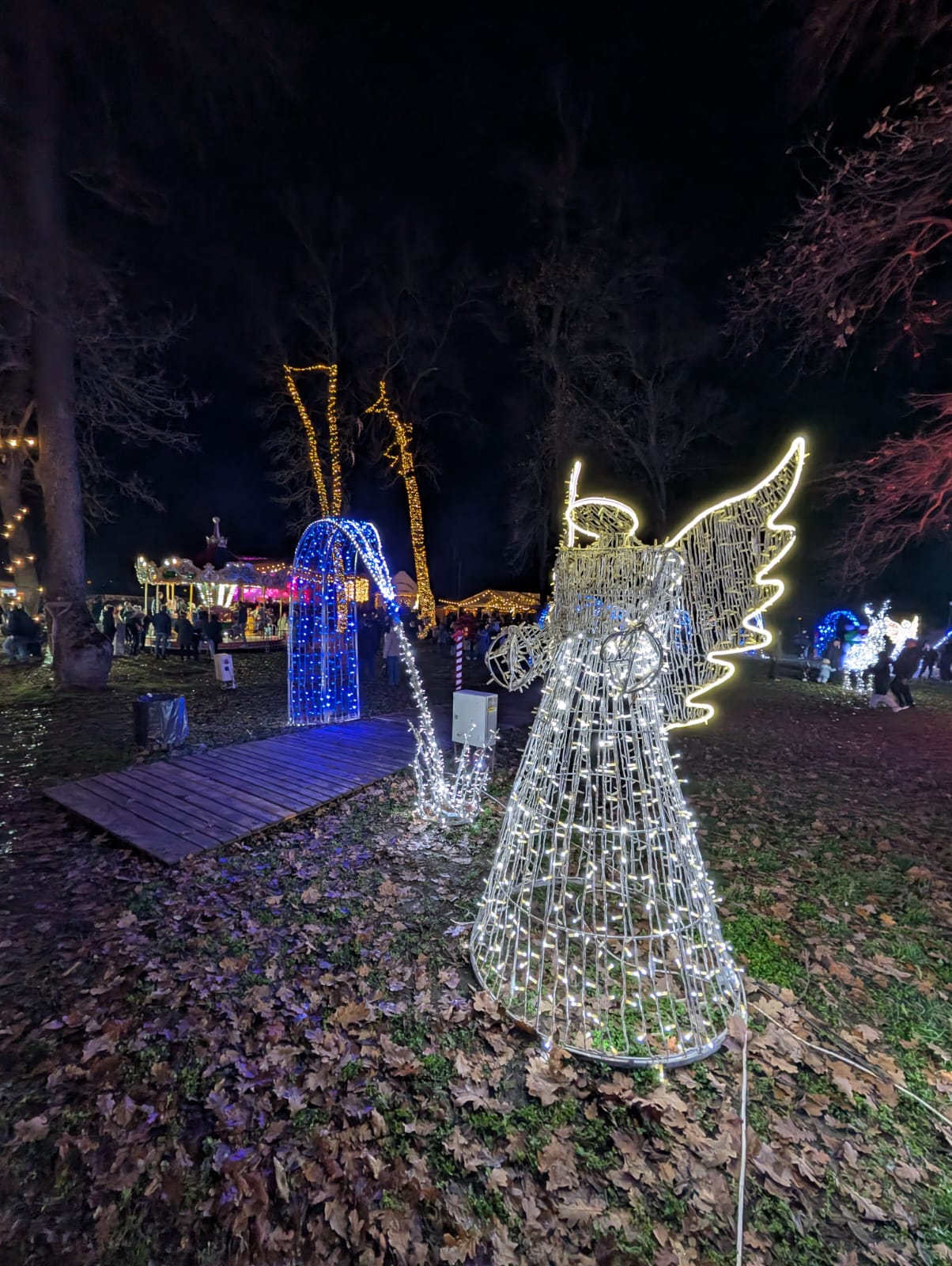 Lights of the Village (25)