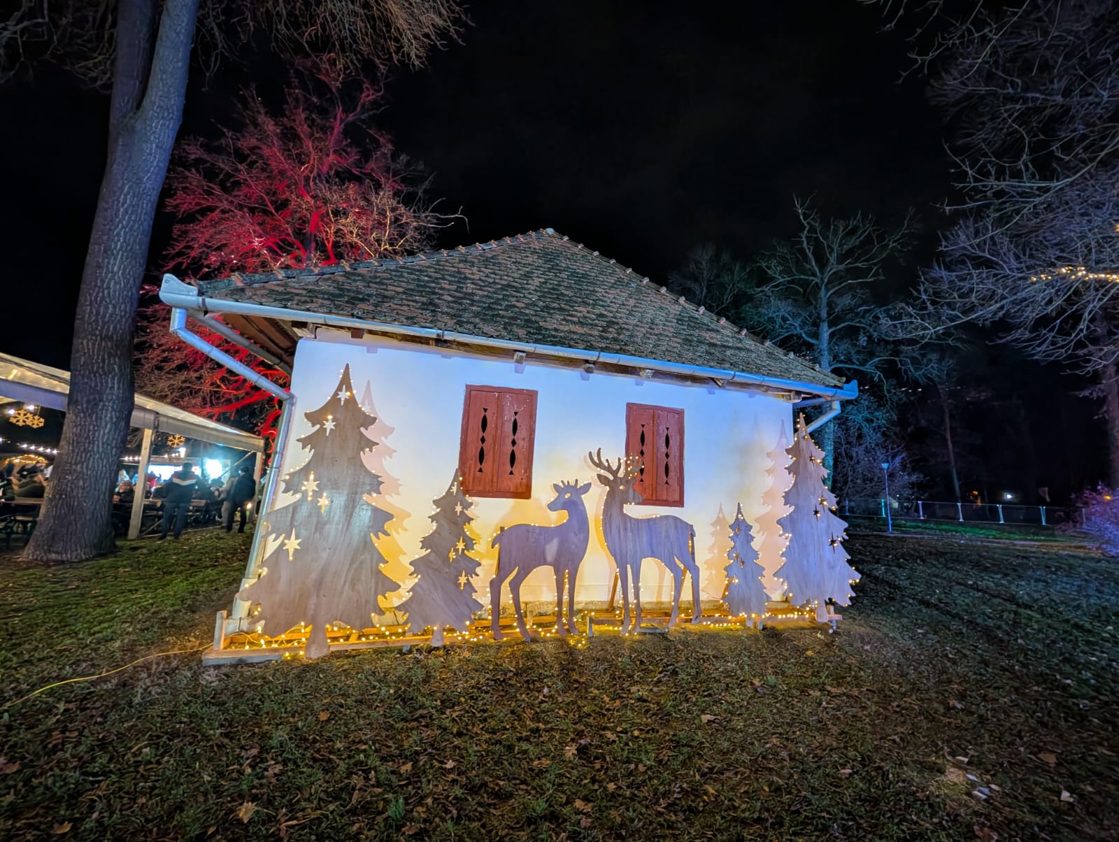 Lights of the Village (27)