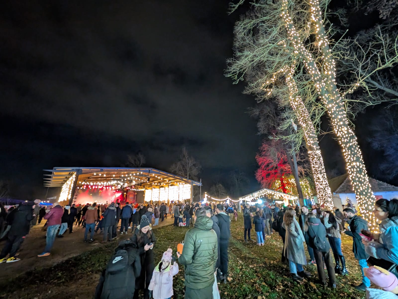 Lights of the Village (22)