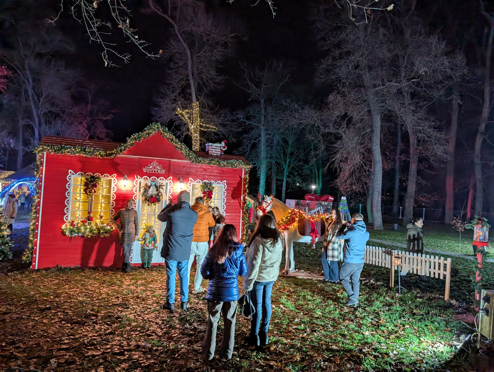 Lights of the Village (18)