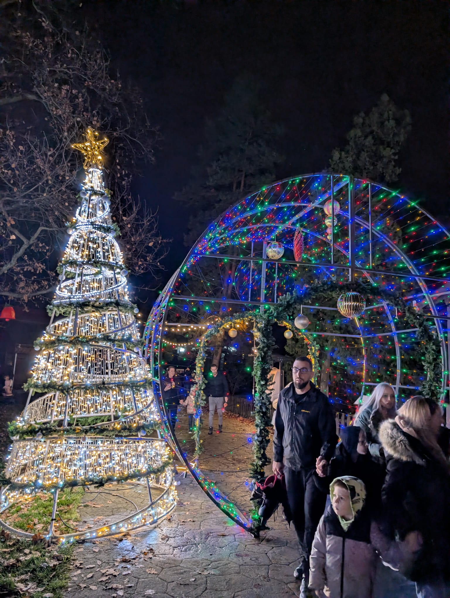 Lights of the Village (19)