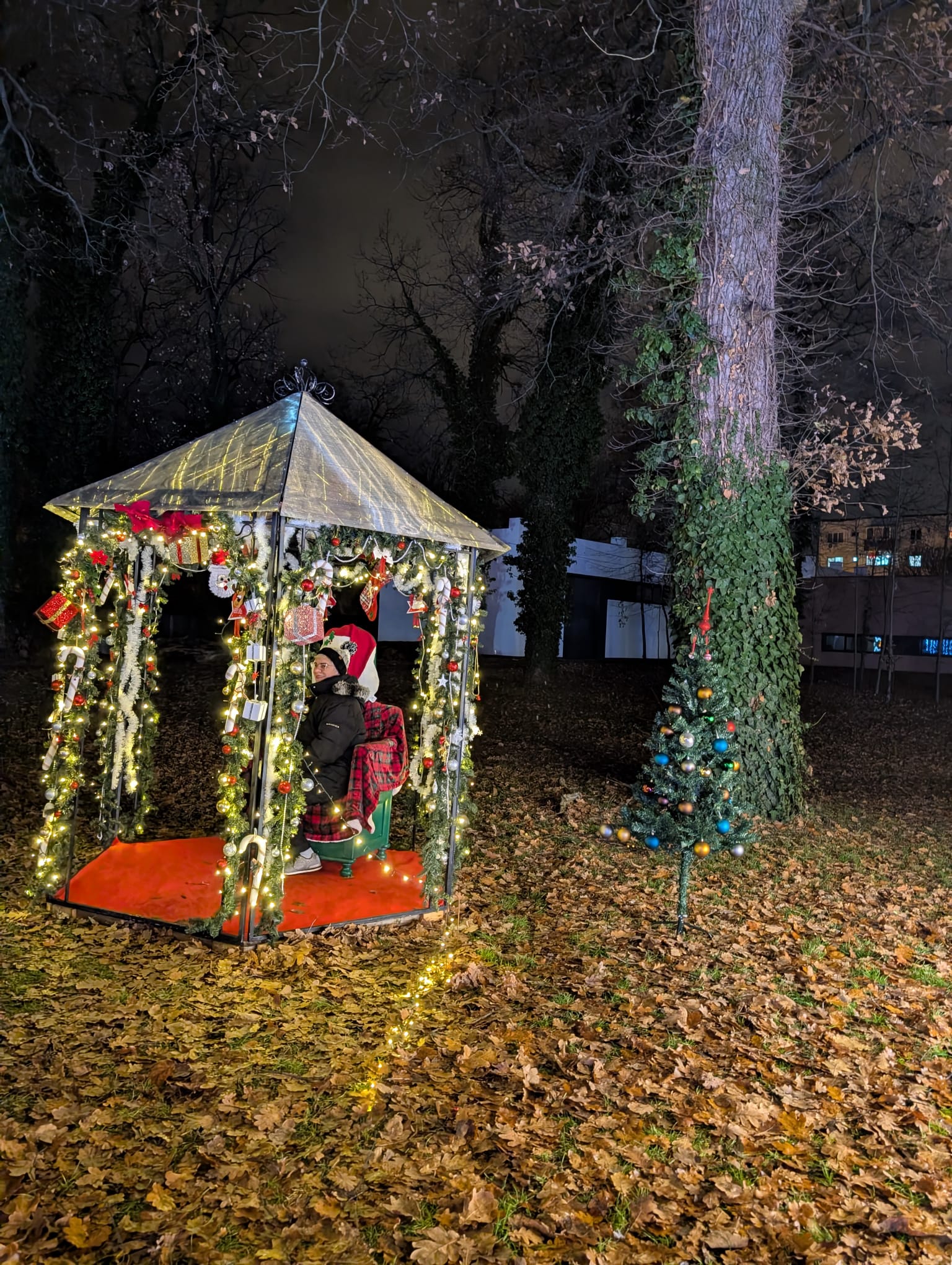 Lights of the Village (16)