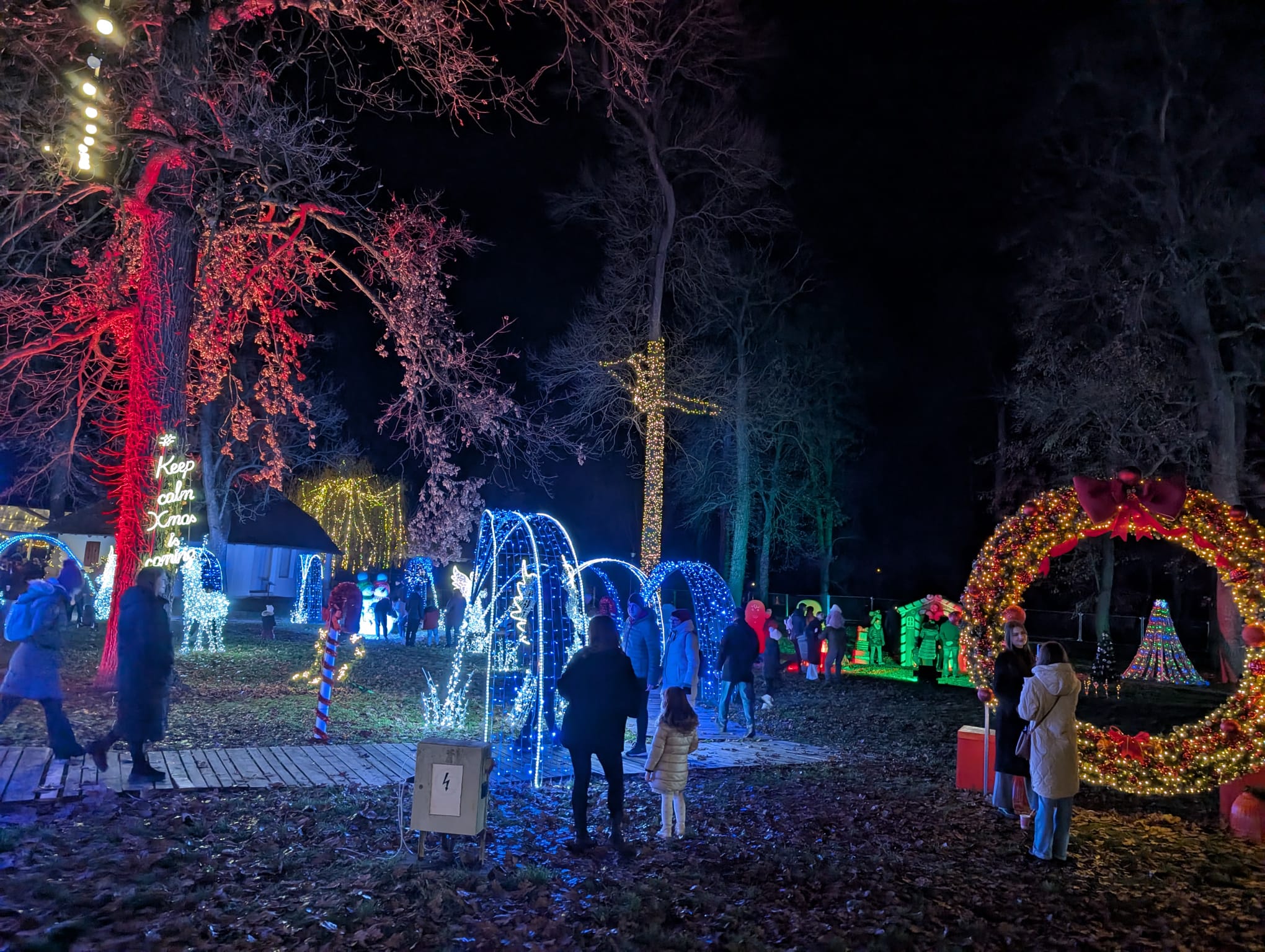 Lights of the Village (15)