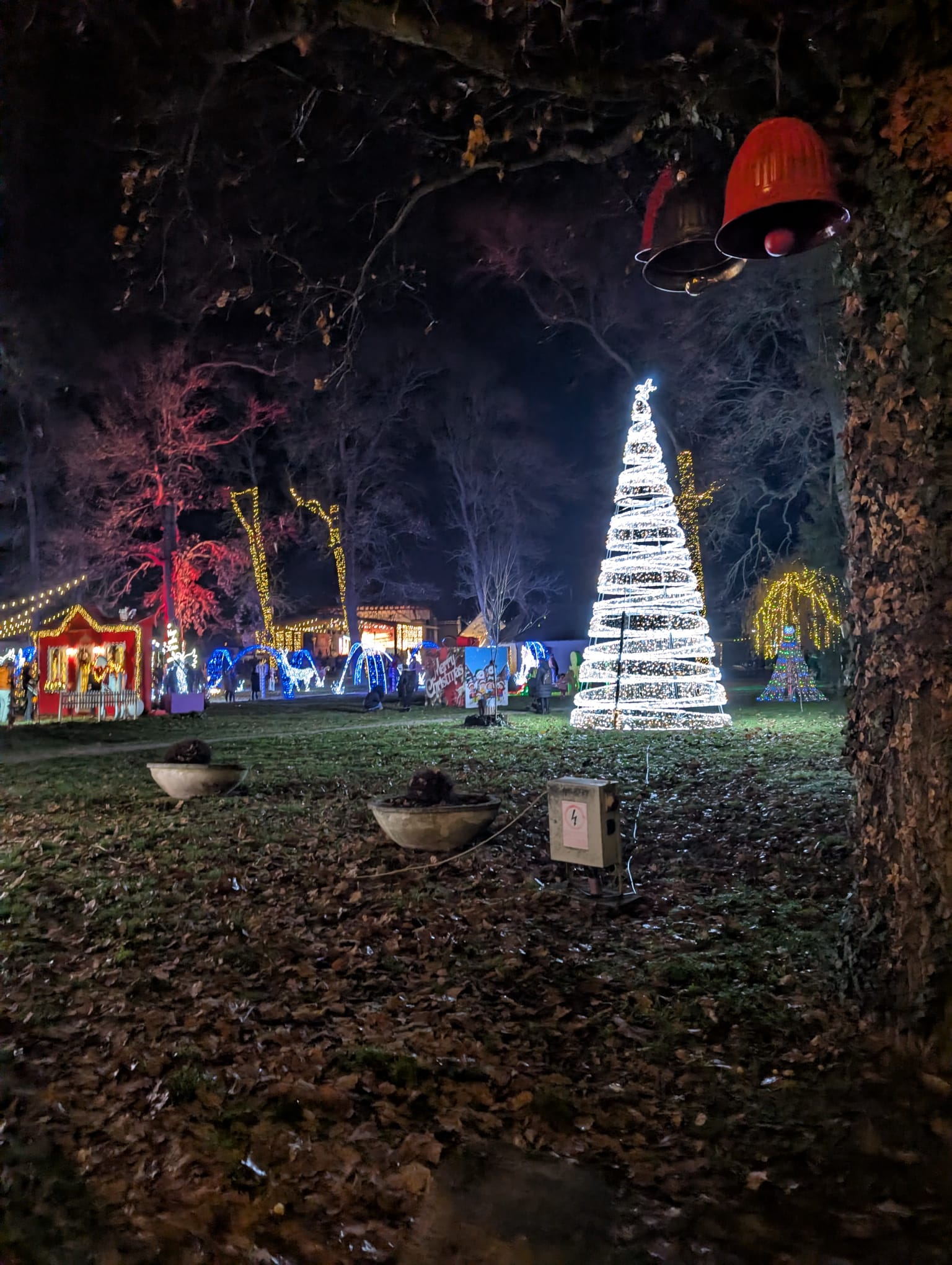 Lights of the Village (14)