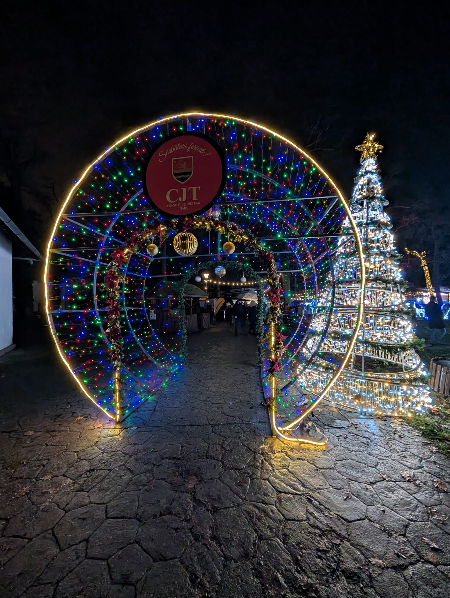 Lights of the Village (13)